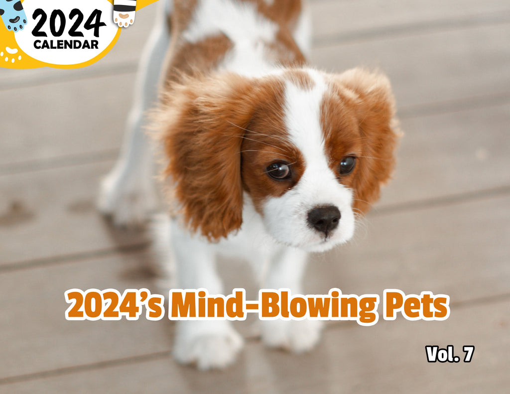 2024's Mind-Blowing Pets Volume Seven: 2024 Wall Calendar (Published)