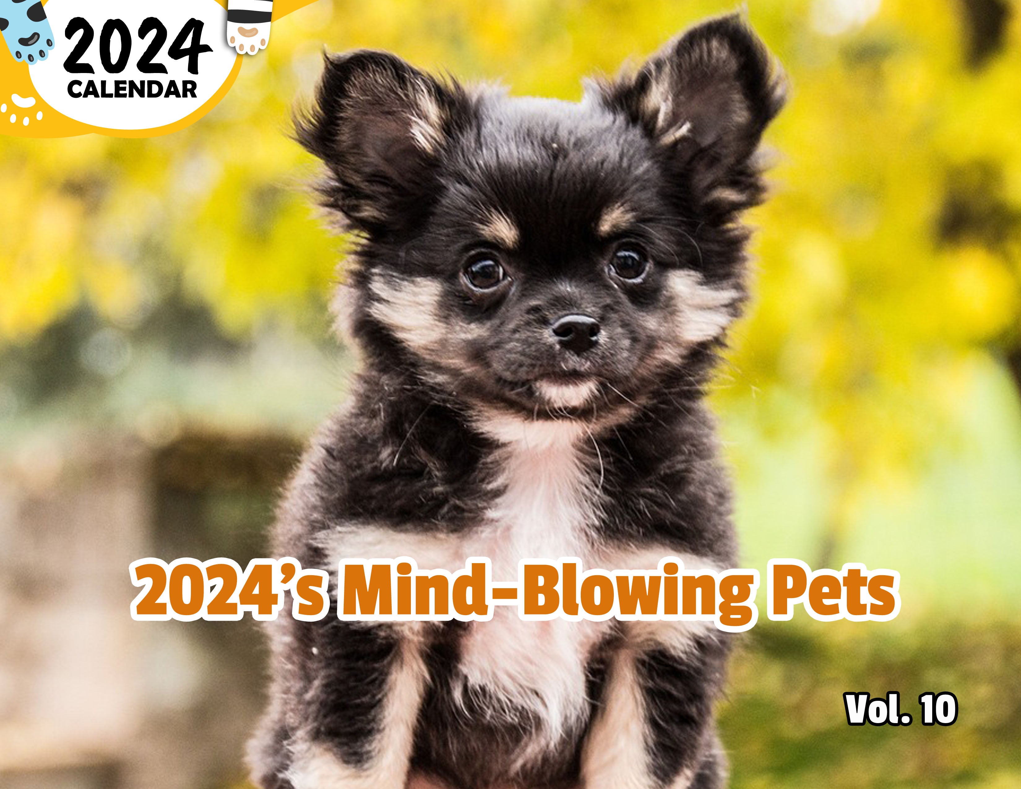 2024's Mind-Blowing Pets Volume Ten: 2024 Wall Calendar (Published)