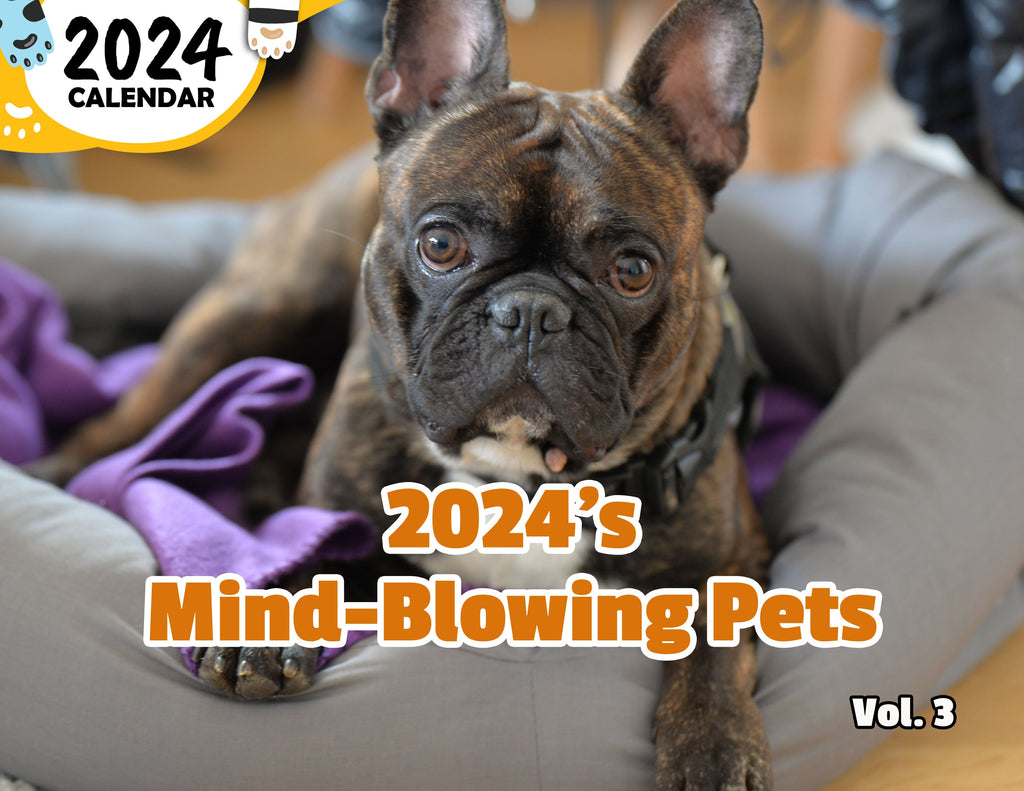 2024's Mind-Blowing Pets Volume Three: 2024 Wall Calendar (Published)