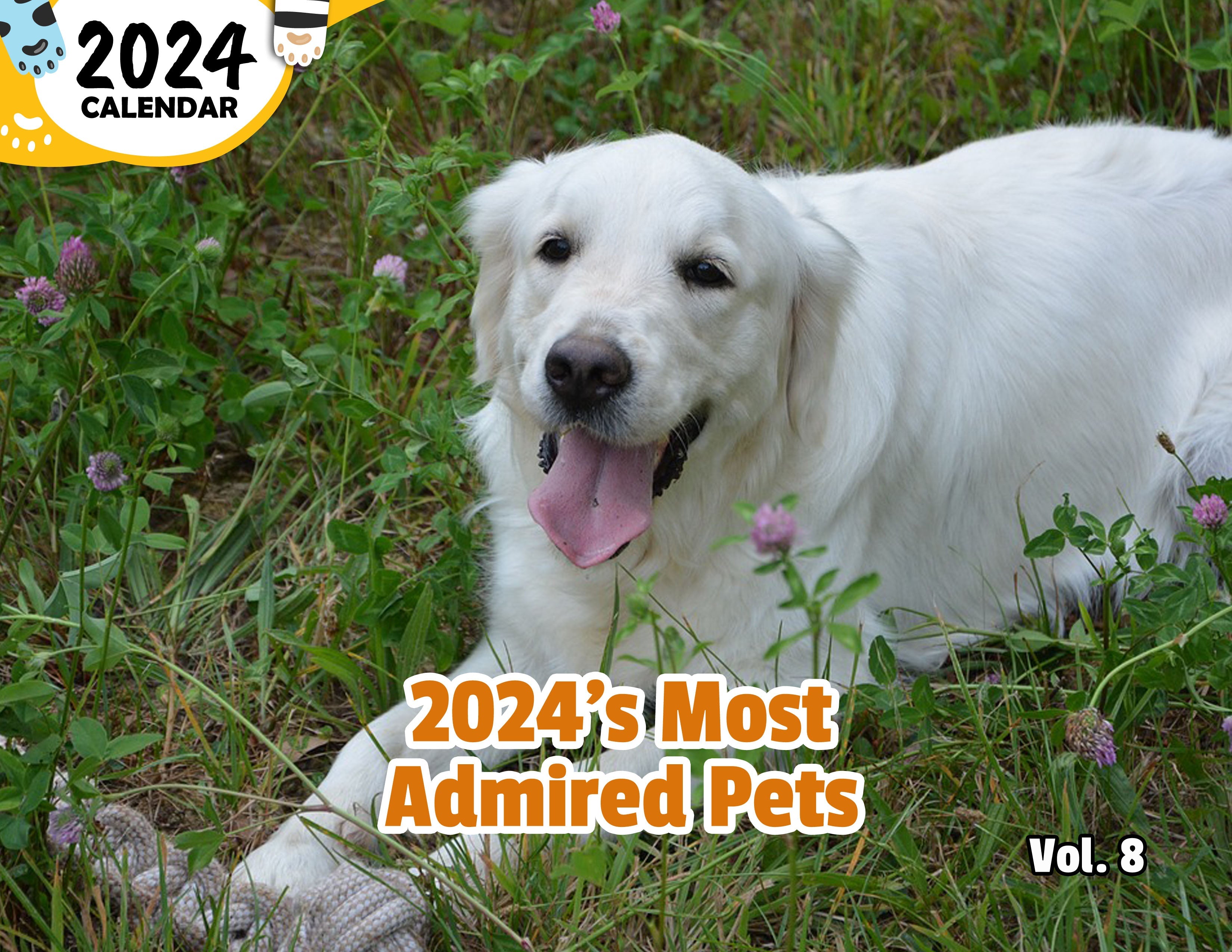 2024's Most Admired Pets Volume Eight: 2024 Wall Calendar (Published)