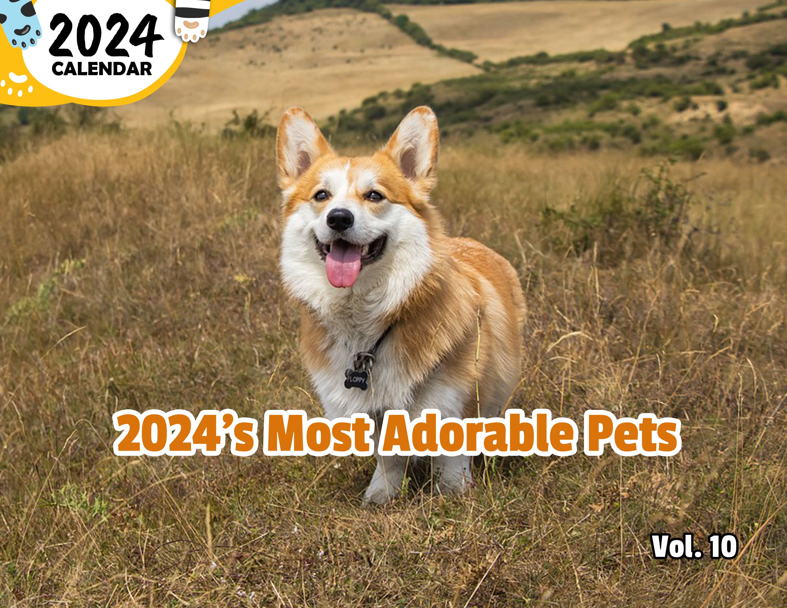 2024's Most Adorable Pets Volume Ten: 2024 Wall Calendar (Published)