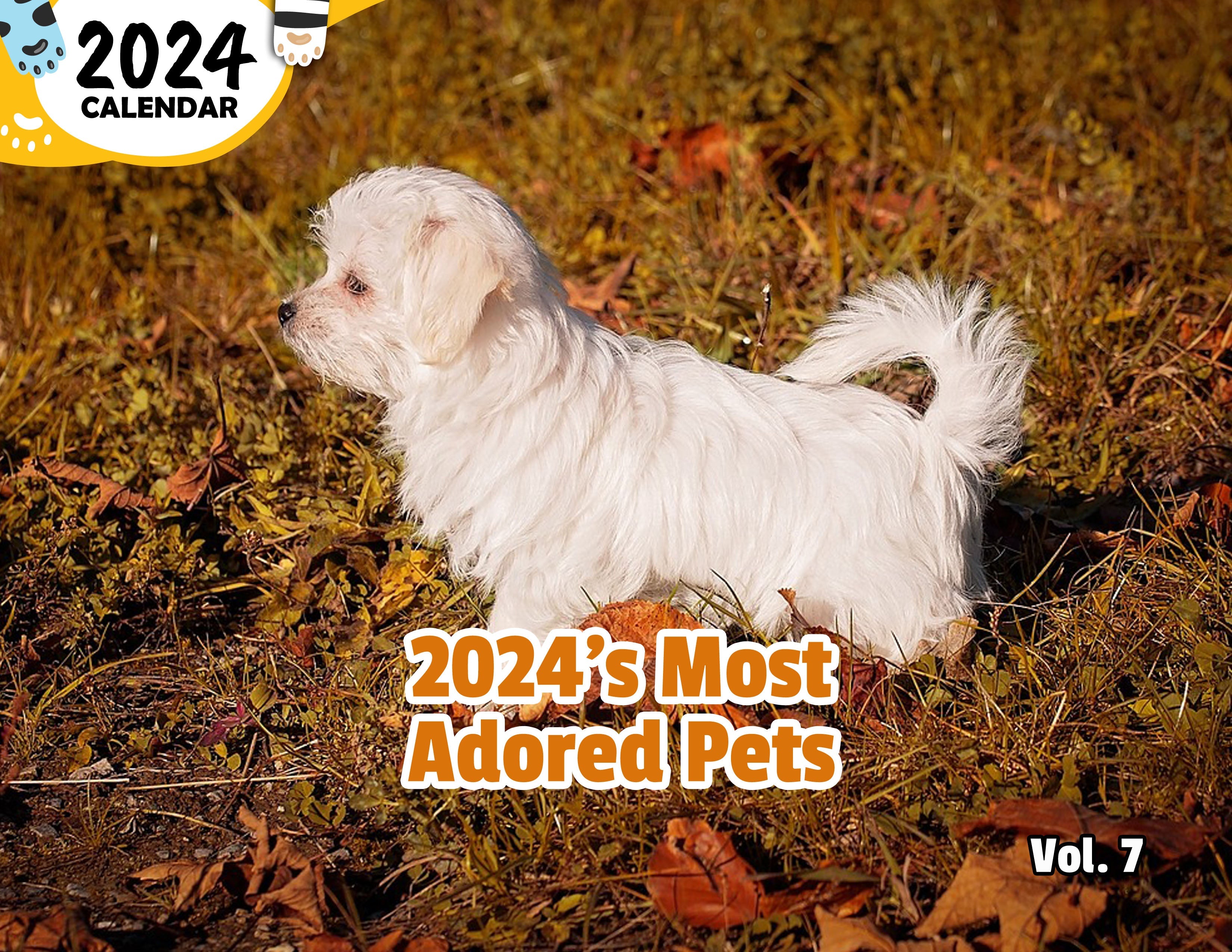 2024's Most Adored Pets Volume Seven: 2024 Wall Calendar (Published)