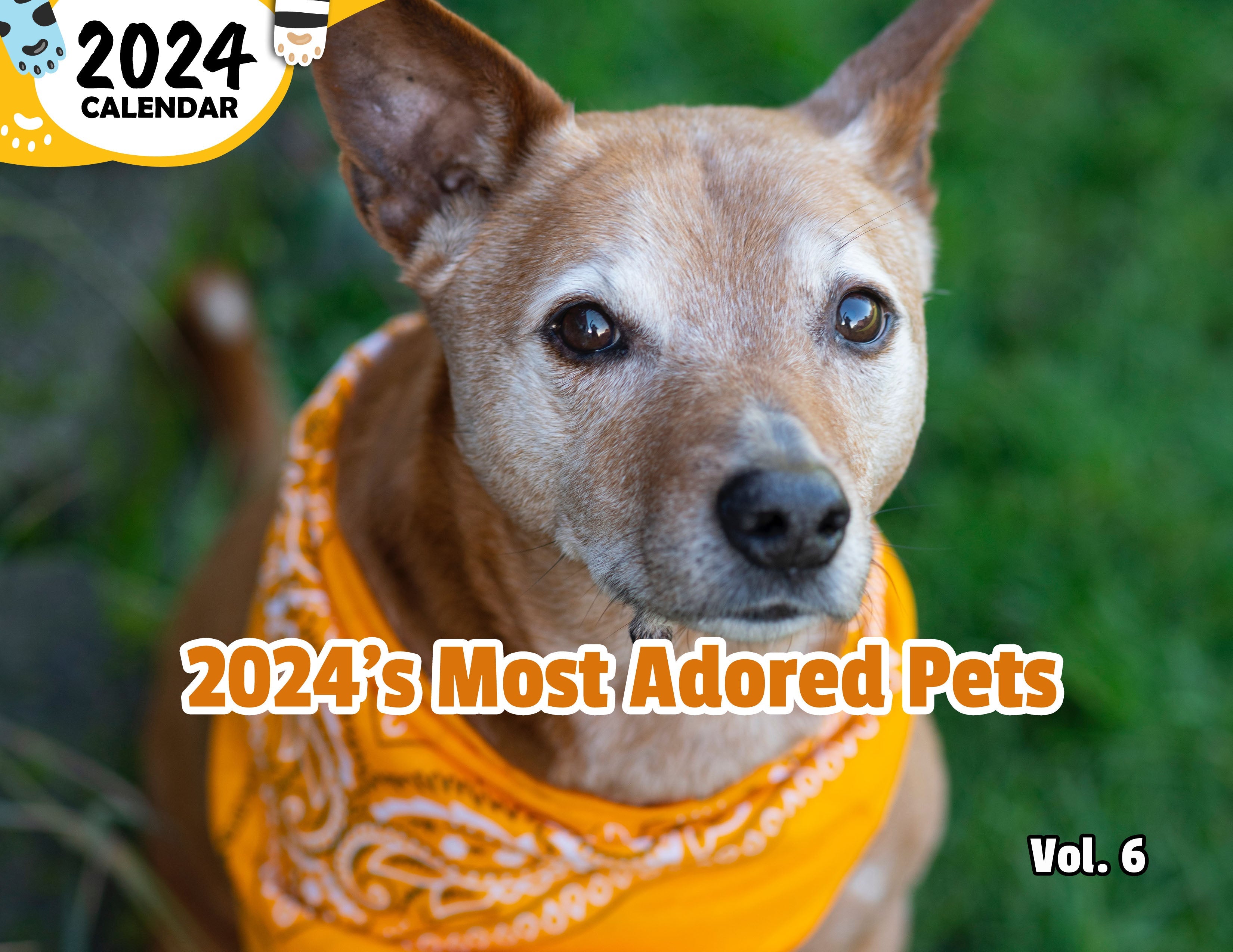 2024's Most Adored Pets Volume Six: 2024 Wall Calendar (Published)