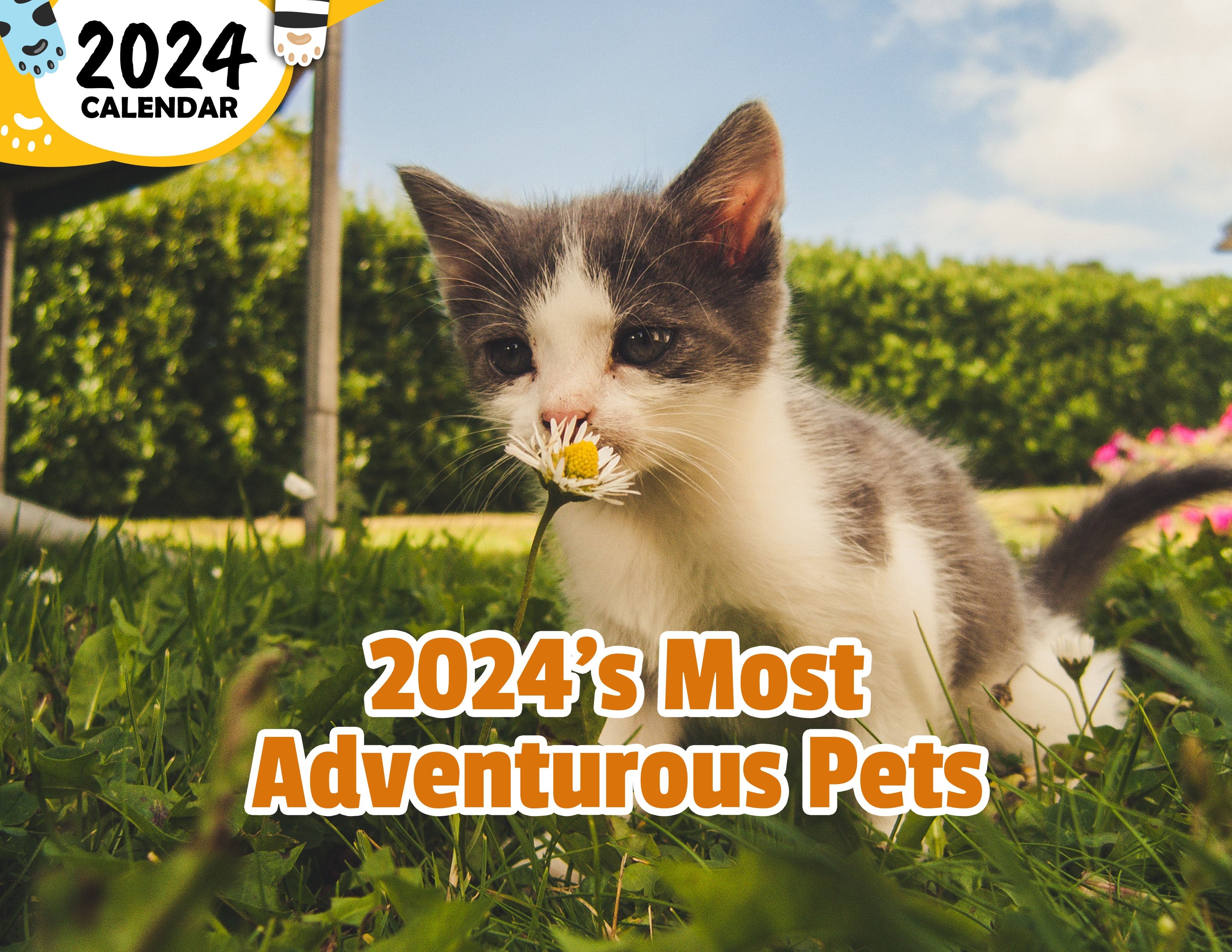 2024's Most Adventurous Pets: 2024 Wall Calendar (Published)