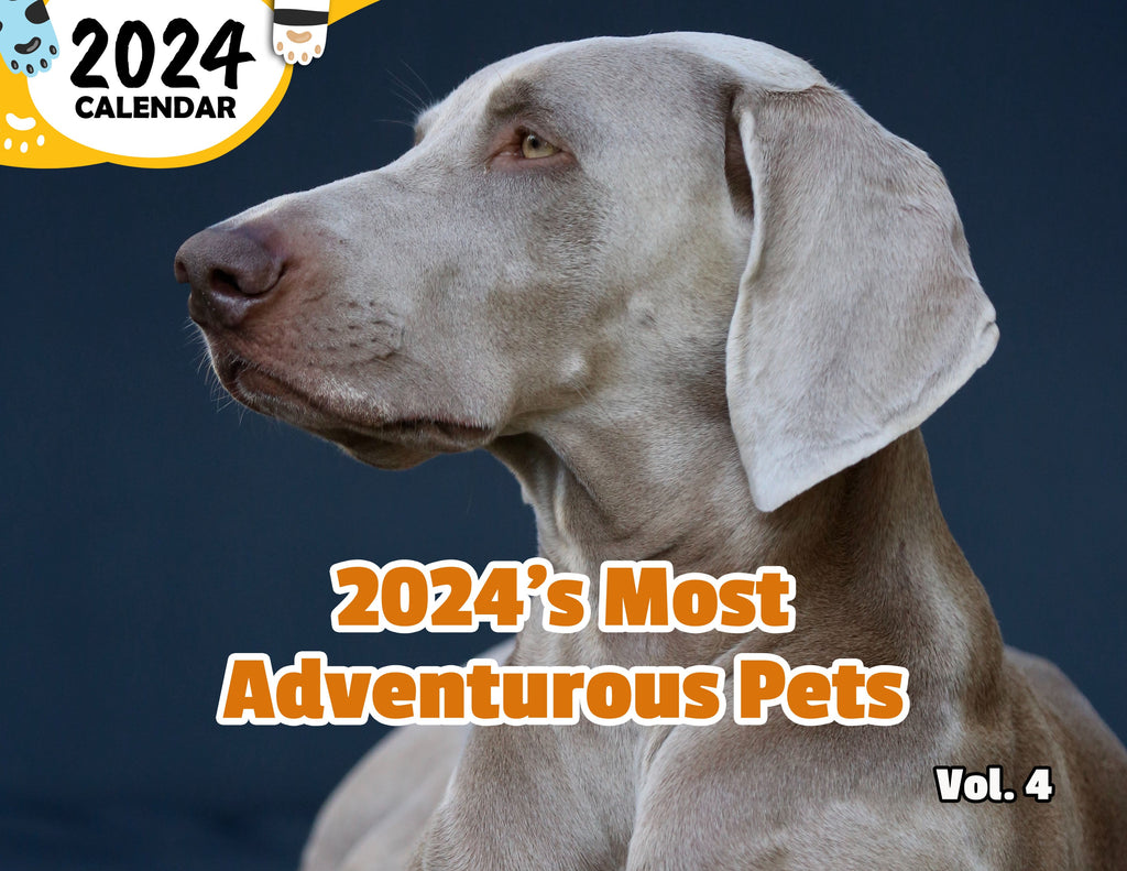 2024's Most Adventurous Pets Volume Four: 2024 Wall Calendar (Published)