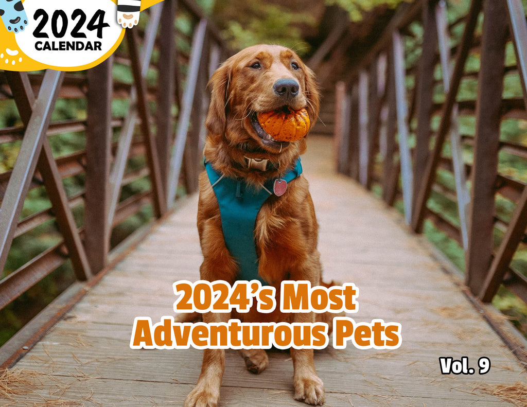 2024's Most Adventurous Pets Volume Nine: 2024 Wall Calendar (Published)