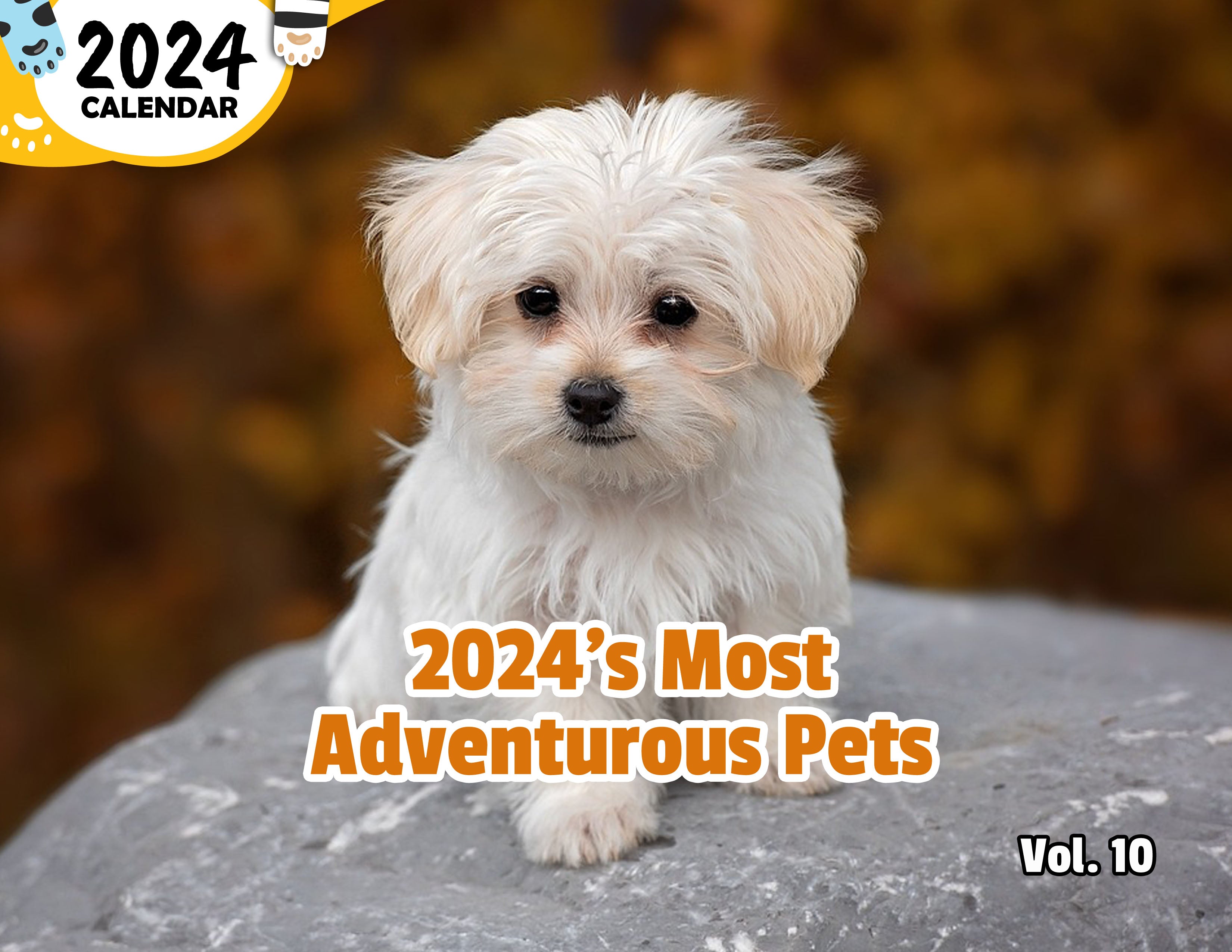 2024's Most Adventurous Pets Volume Ten: 2024 Wall Calendar (Published)