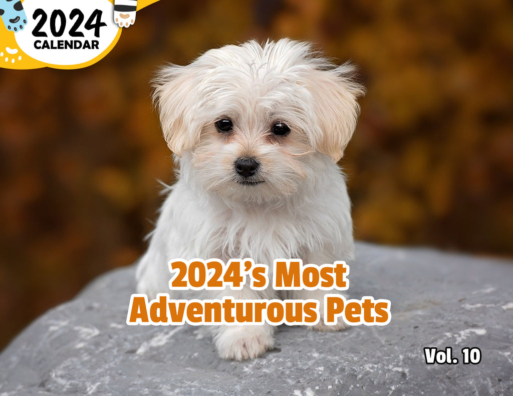 2024's Most Adventurous Pets Volume Ten: 2024 Wall Calendar (Published)