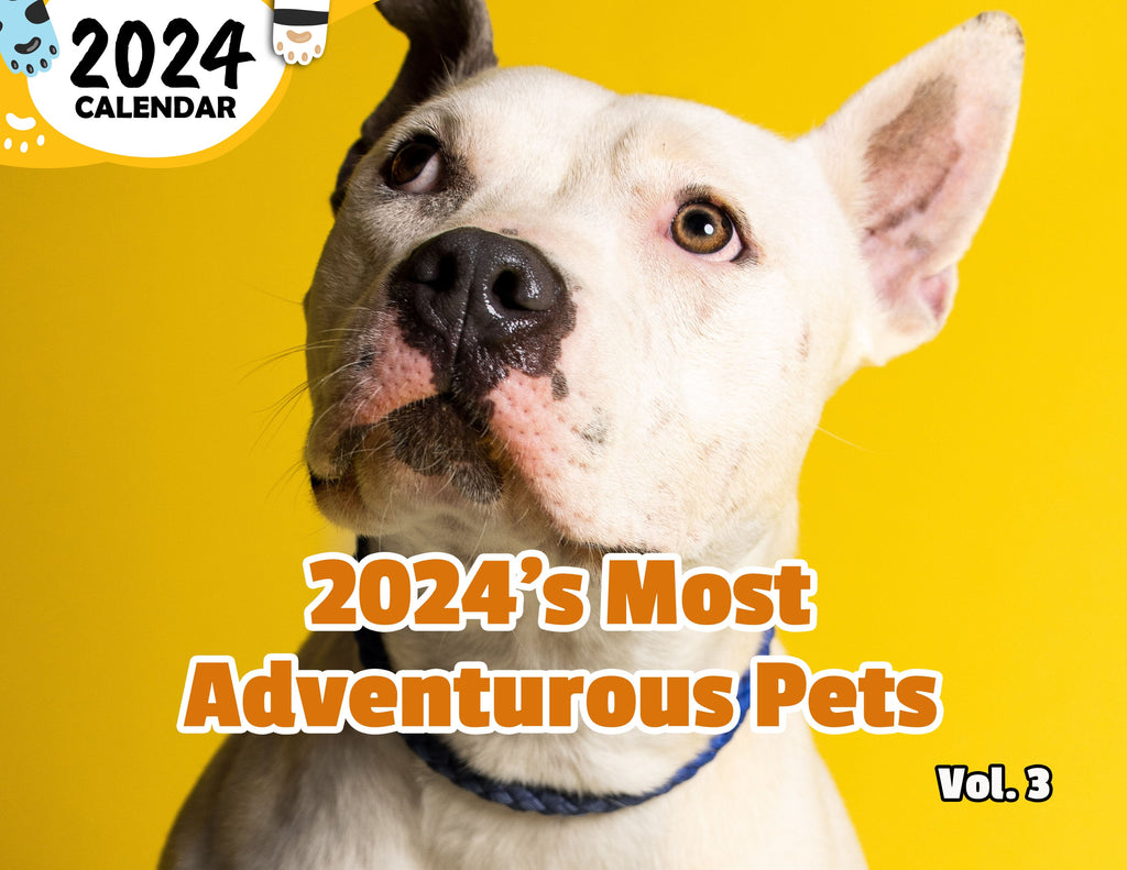 2024's Most Adventurous Pets Volume Three: 2024 Wall Calendar (Published)