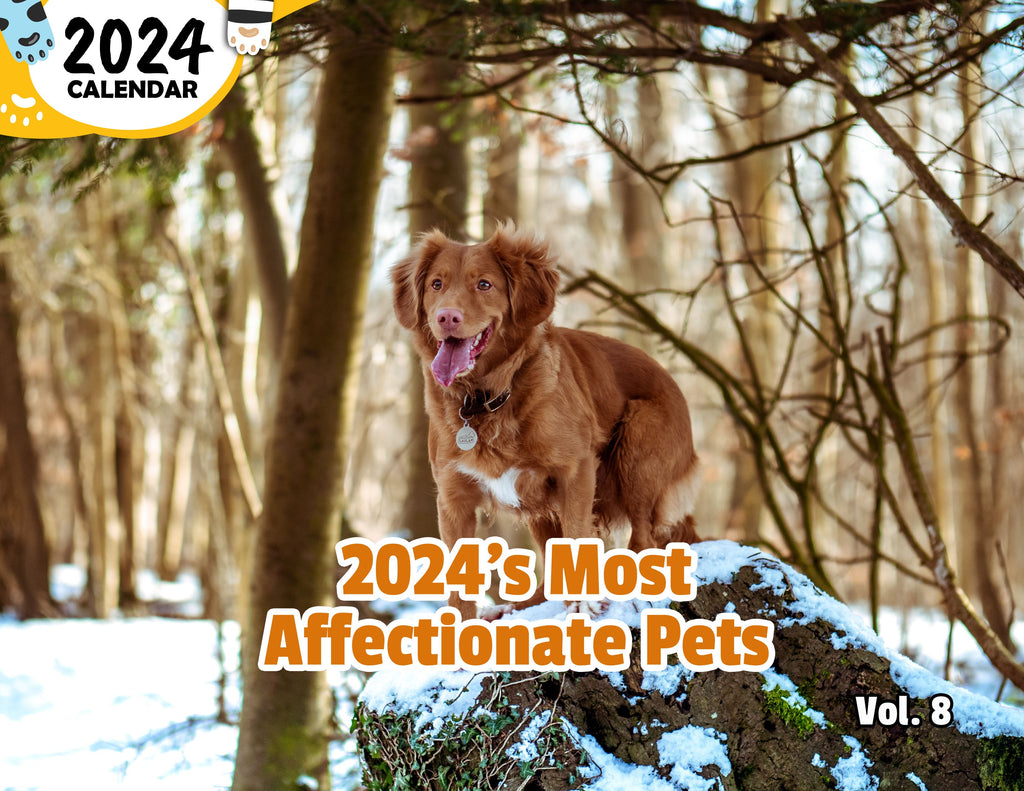 2024's Most Affectionate Pets Volume Eight: 2024 Wall Calendar (Published)