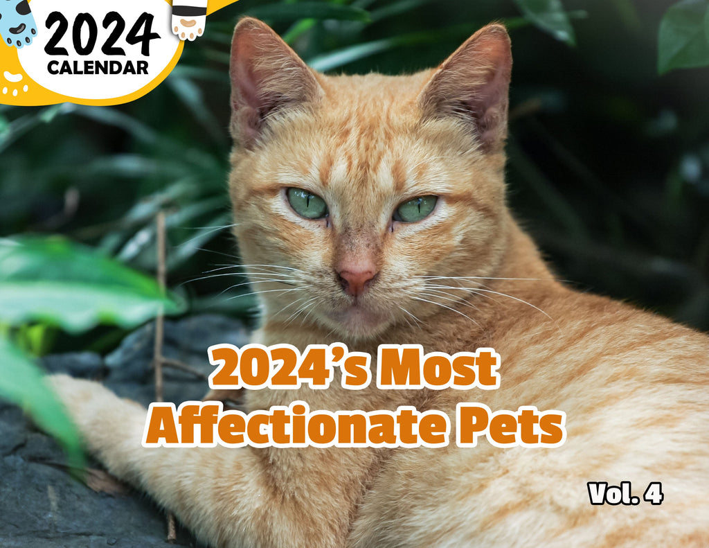 2024's Most Affectionate Pets Volume Four: 2024 Wall Calendar (Published)