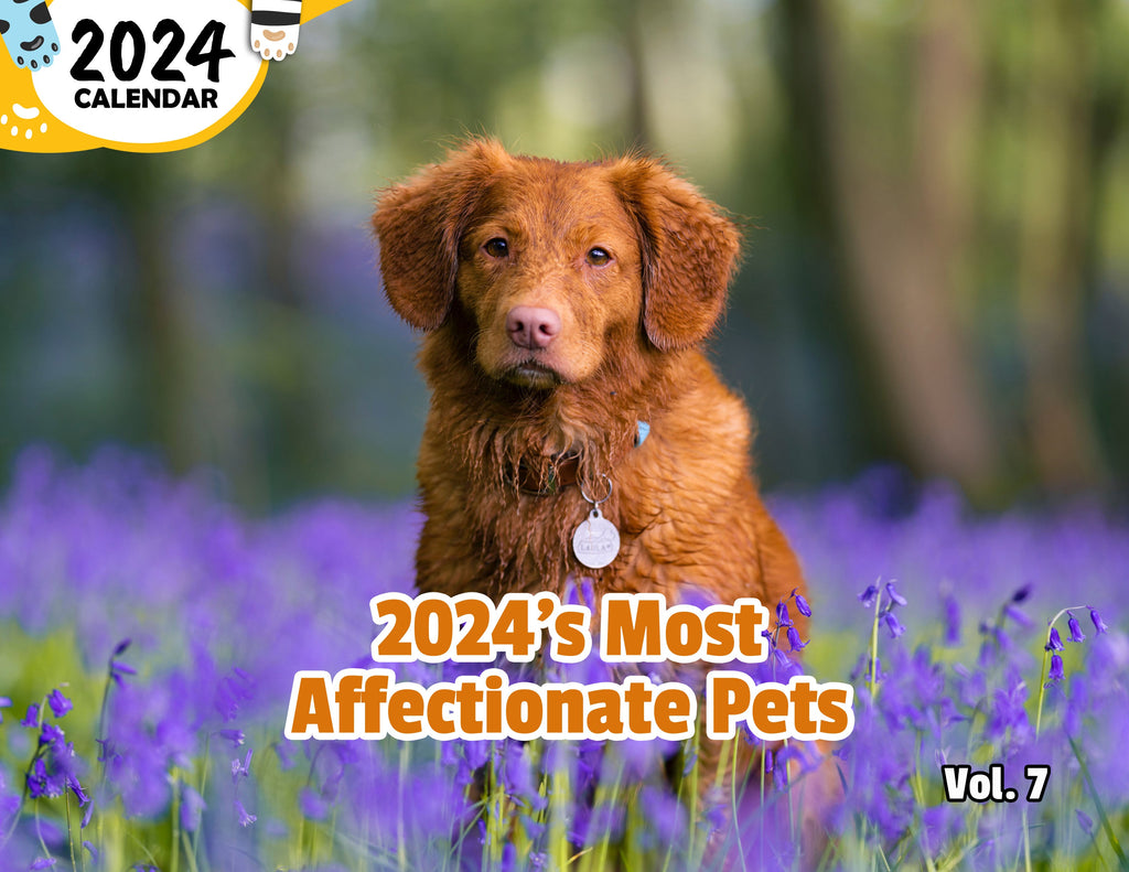 2024's Most Affectionate Pets Volume Seven: 2024 Wall Calendar (Published)