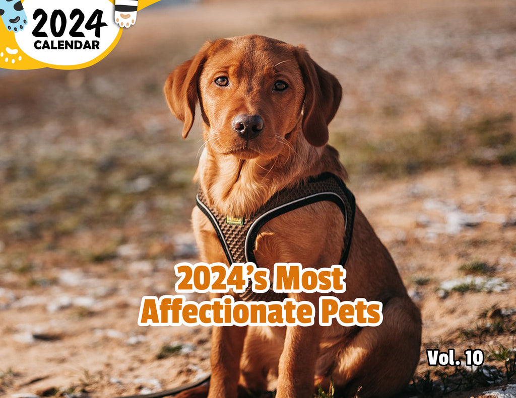 2024's Most Affectionate Pets Volume Ten: 2024 Wall Calendar (Published)
