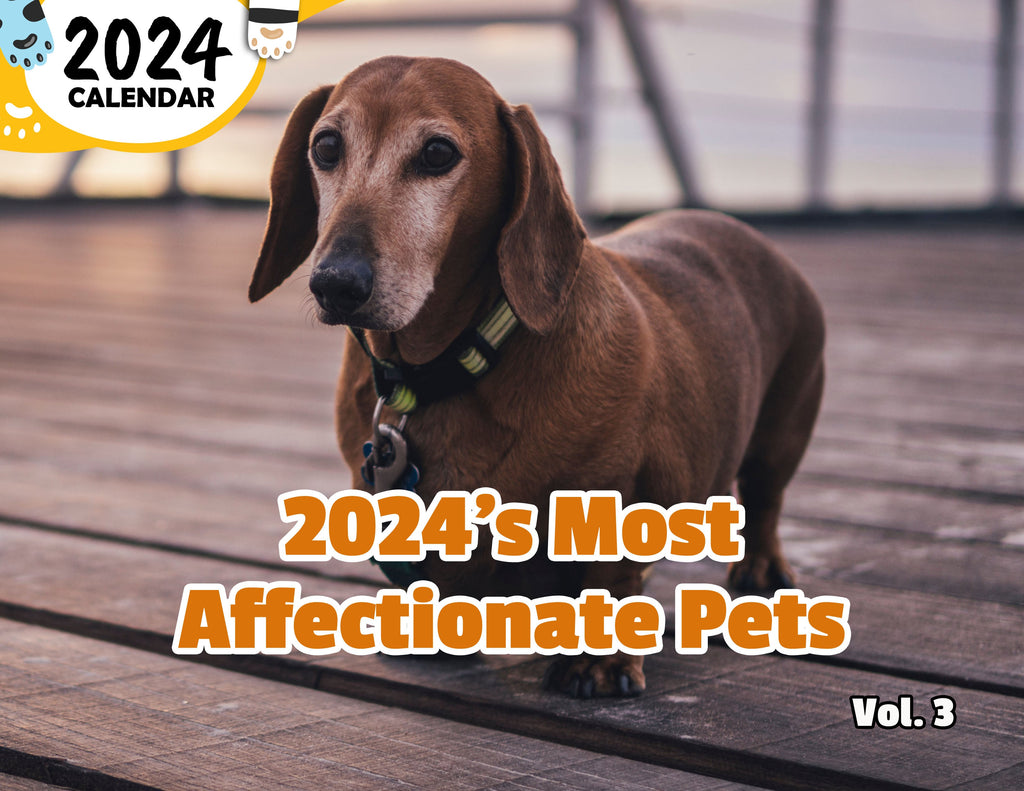2024's Most Affectionate Pets Volume Three: 2024 Wall Calendar (Published)