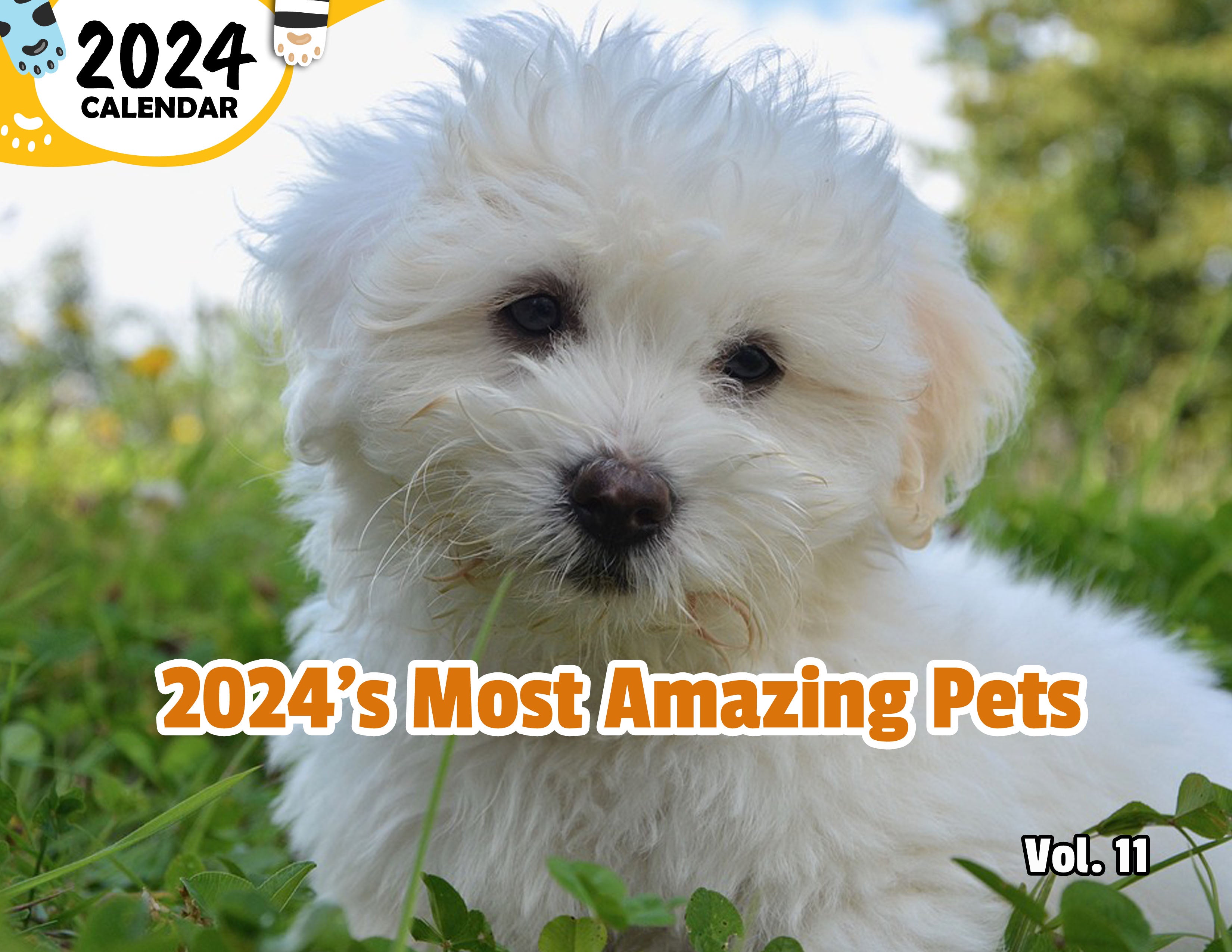 2024's Most Amazing Pets Volume Eleven: 2024 Wall Calendar (Published)