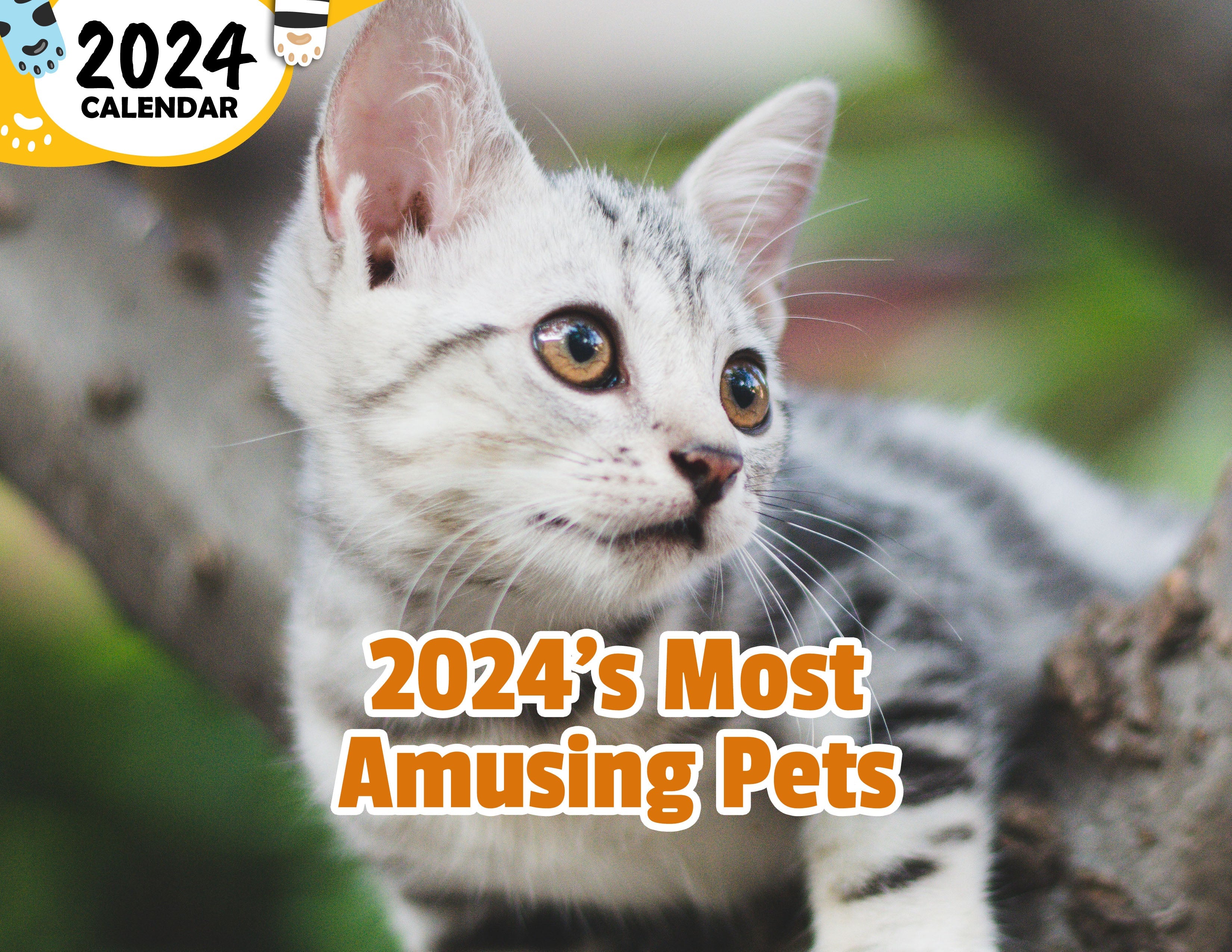 2024's Most Amusing Pets: 2024 Wall Calendar (Published)