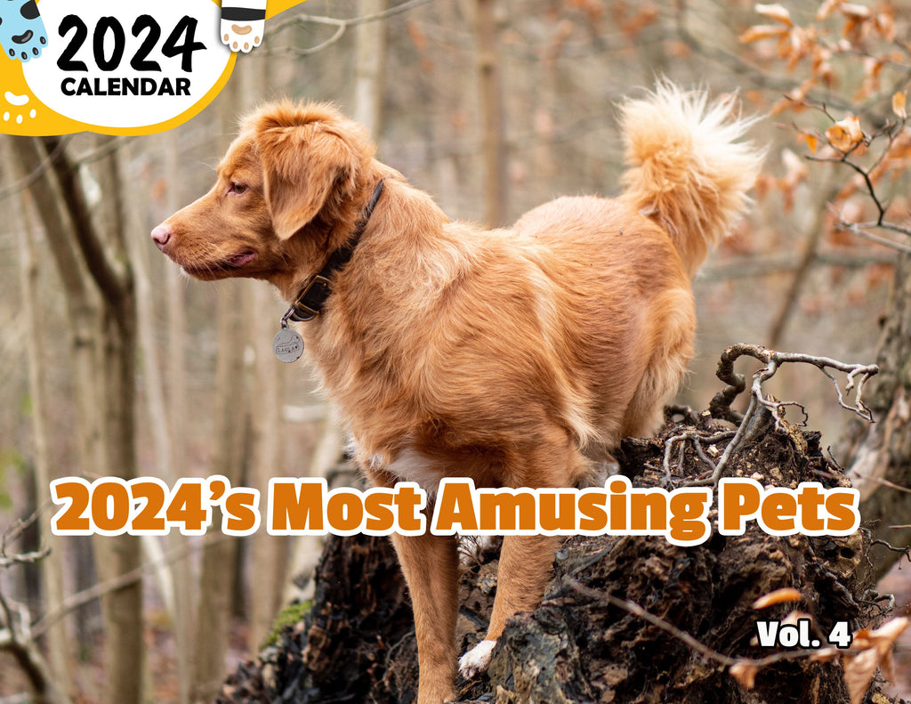 2024's Most Amusing Pets Volume Four: 2024 Wall Calendar (Published)