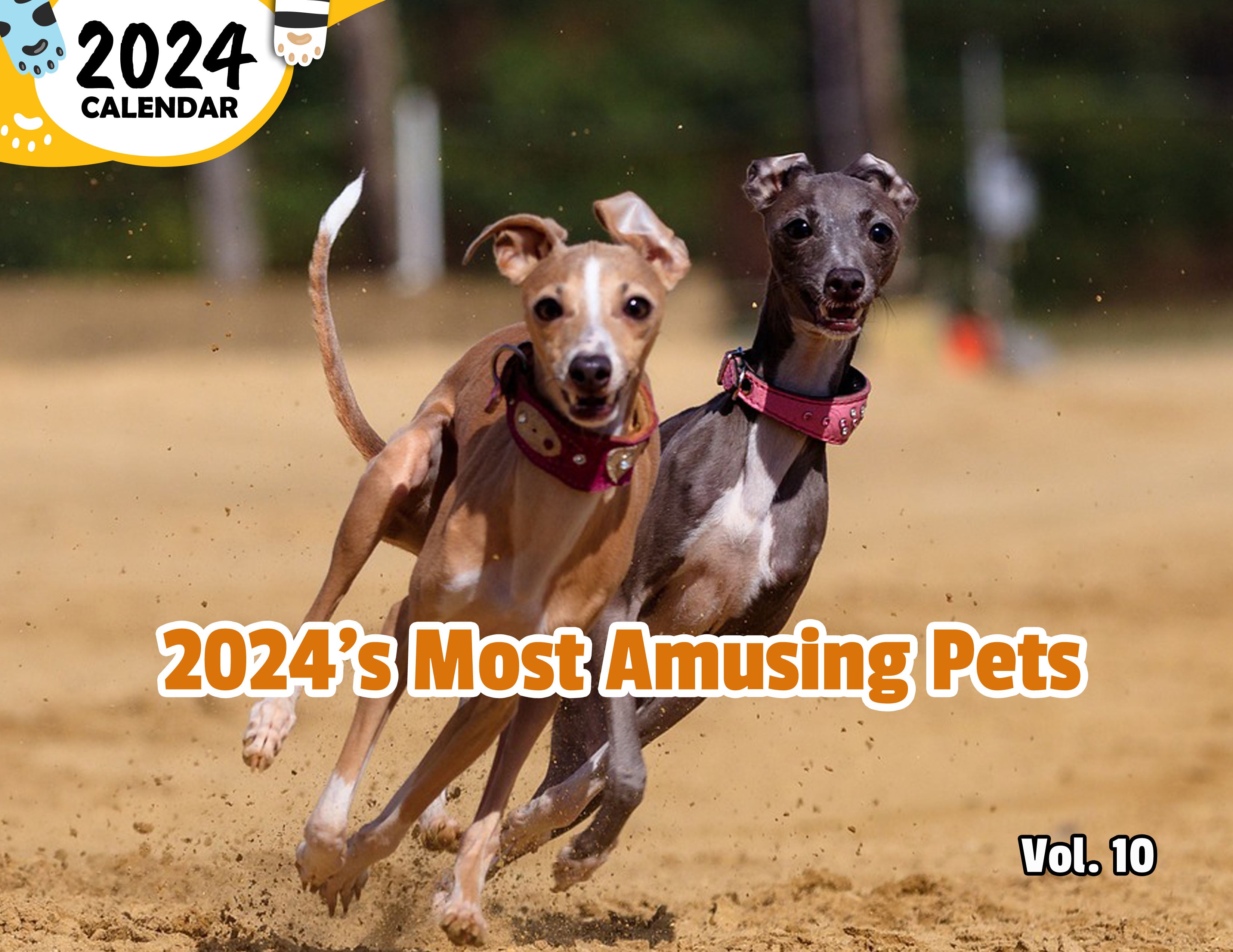 2024's Most Amusing Pets Volume Ten: 2024 Wall Calendar (Published)