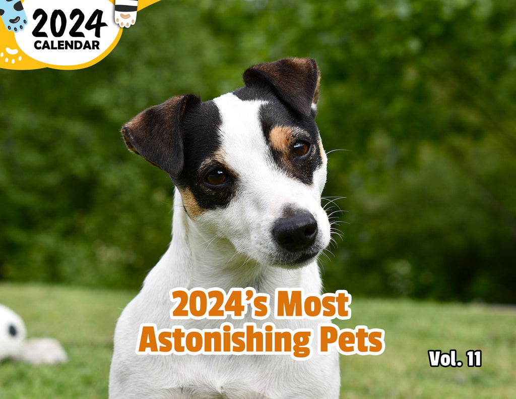 2024's Most Astonishing Pets Volume Eleven: 2024 Wall Calendar (Published)