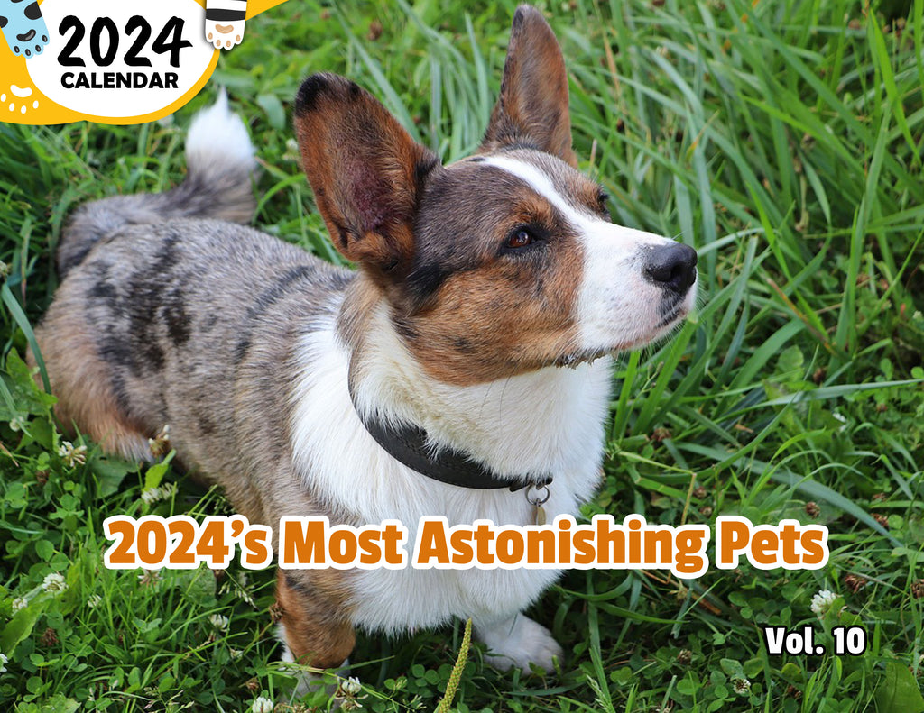 2024's Most Astonishing Pets Volume Ten: 2024 Wall Calendar (Published)