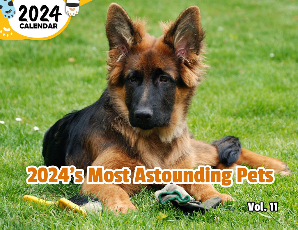 2024's Most Astounding Pets Volume Eleven: 2024 Wall Calendar (Published)