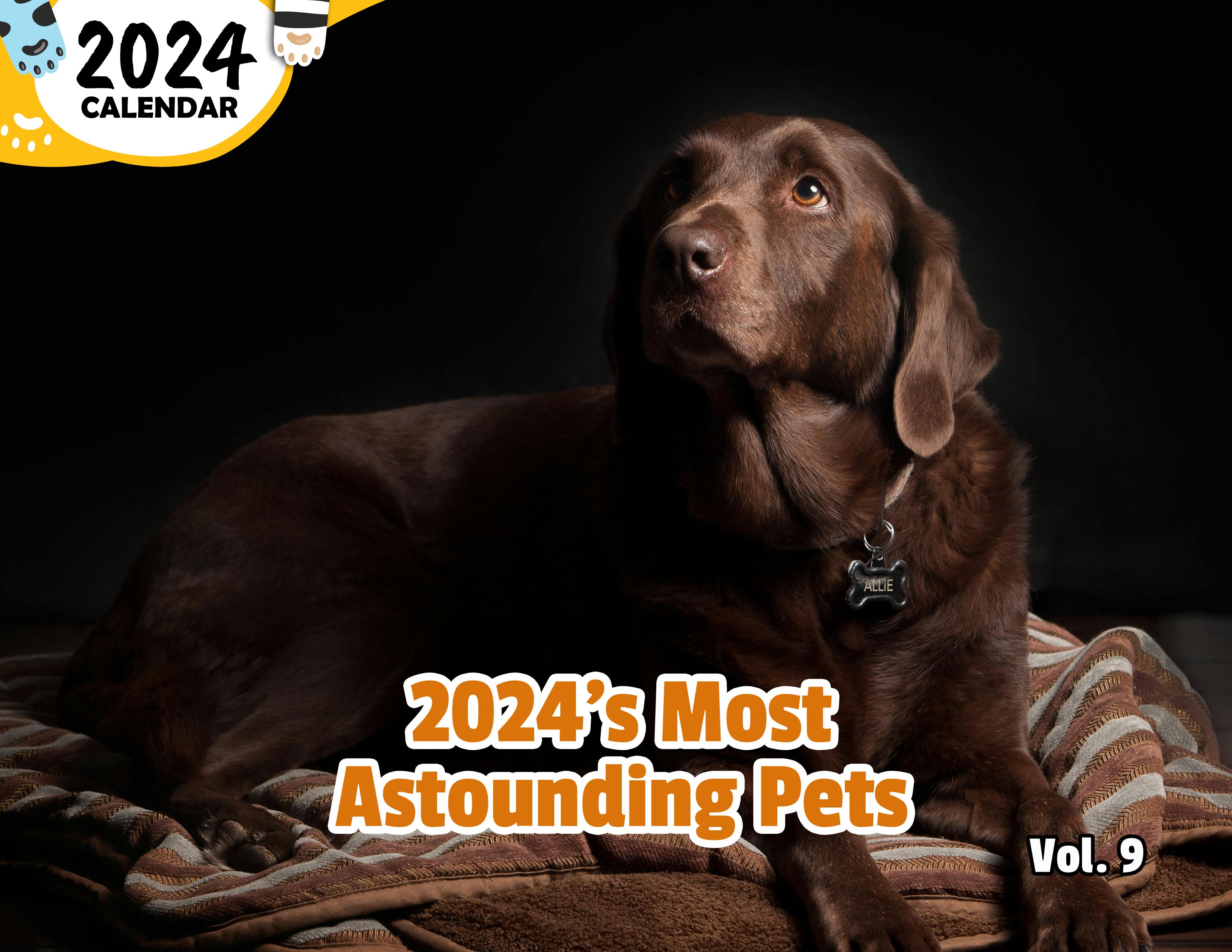 2024's Most Astounding Pets Volume Nine: 2024 Wall Calendar (Published)