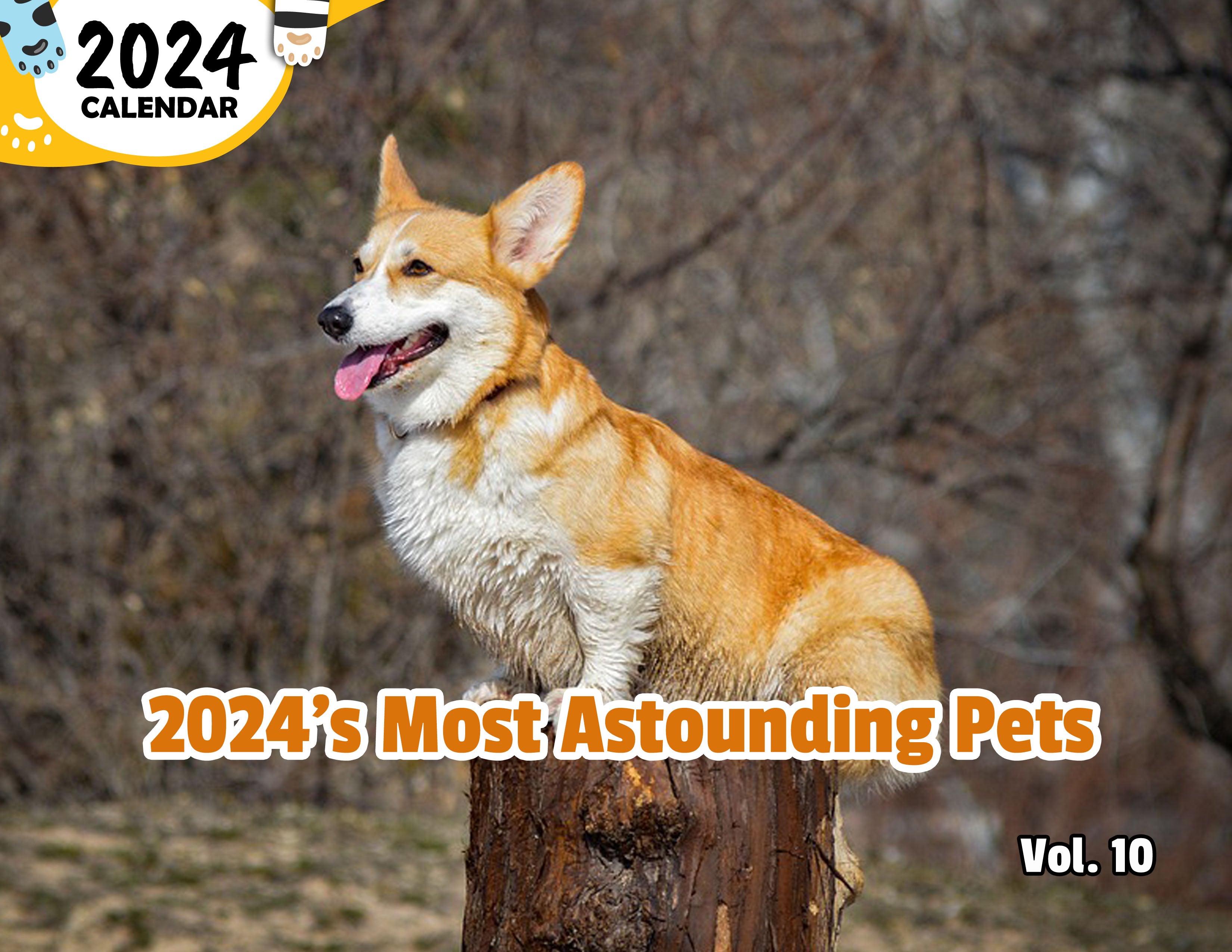2024's Most Astounding Pets Volume Ten: 2024 Wall Calendar (Published)