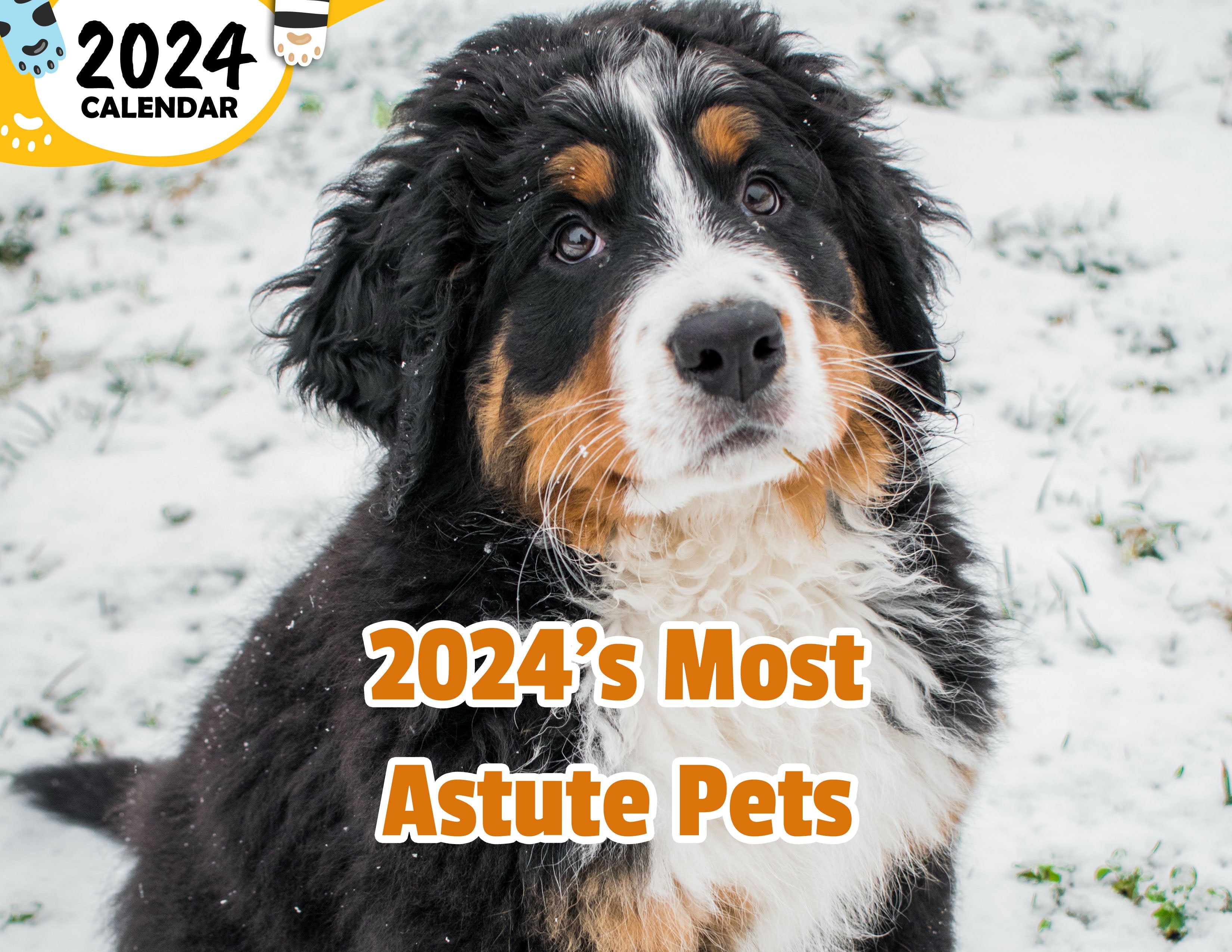 2024's Most Astute Pets: 2024 Wall Calendar (Published)