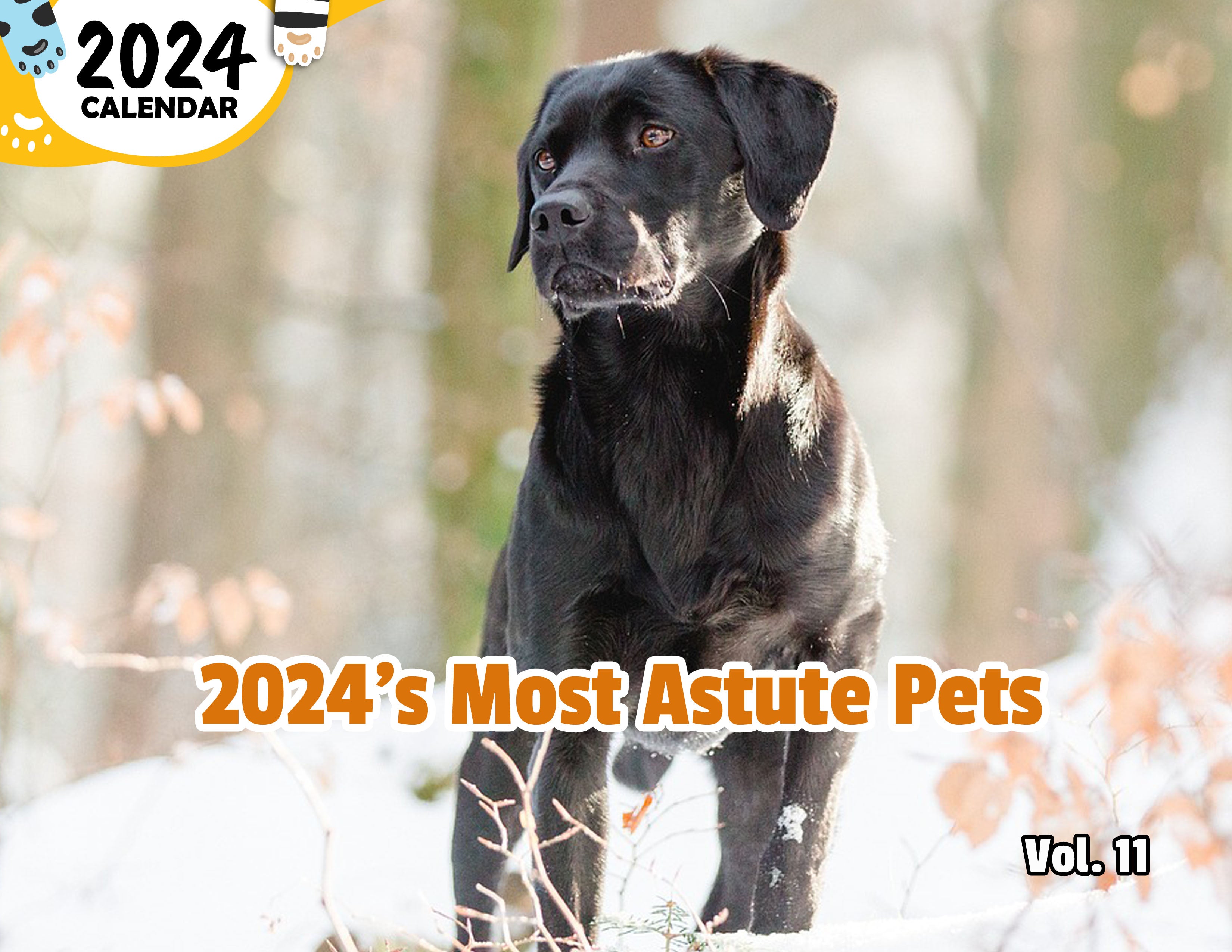 2024's Most Astute Pets Volume Eleven: 2024 Wall Calendar (Published)