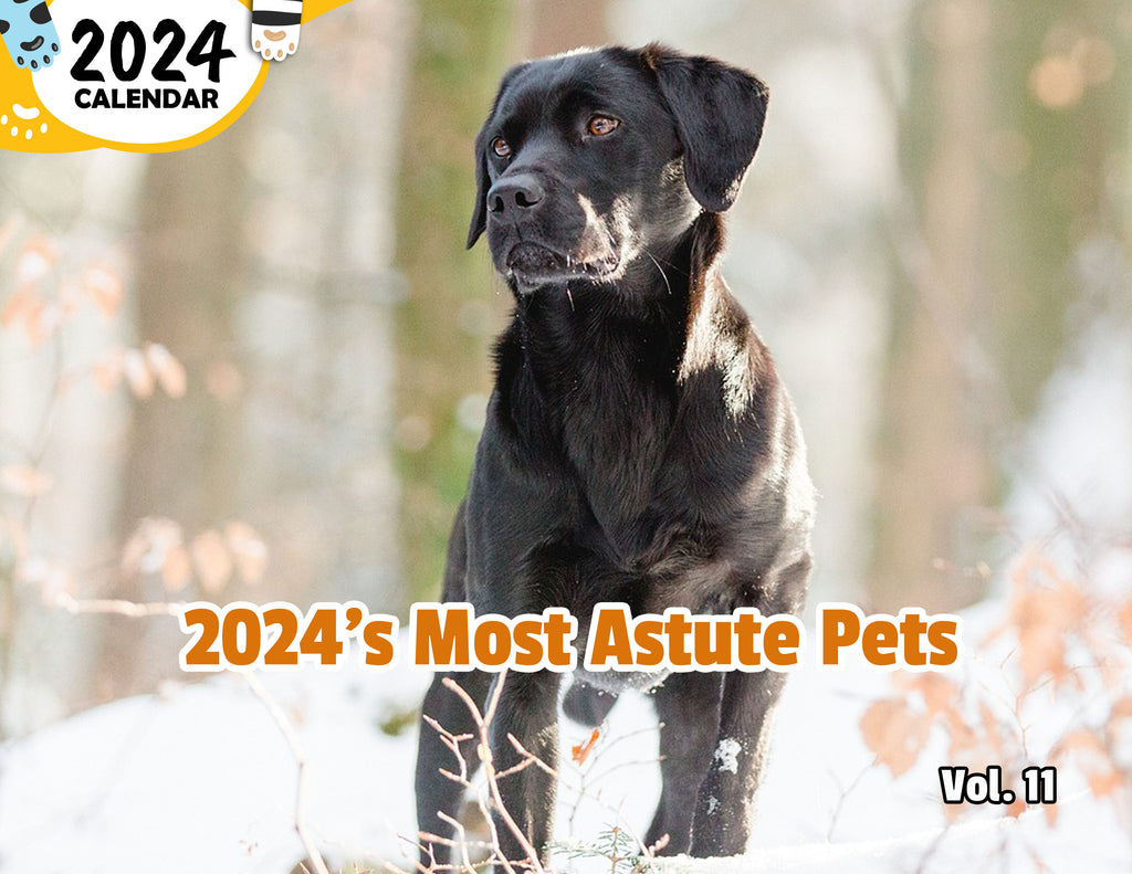 2024's Most Astute Pets Volume Eleven: 2024 Wall Calendar (Published)