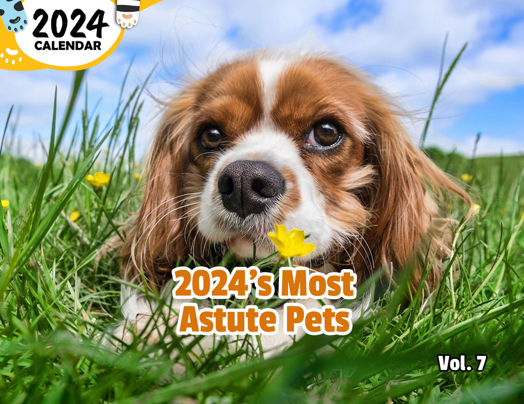 2024's Most Astute Pets Volume Seven: 2024 Wall Calendar (Published)