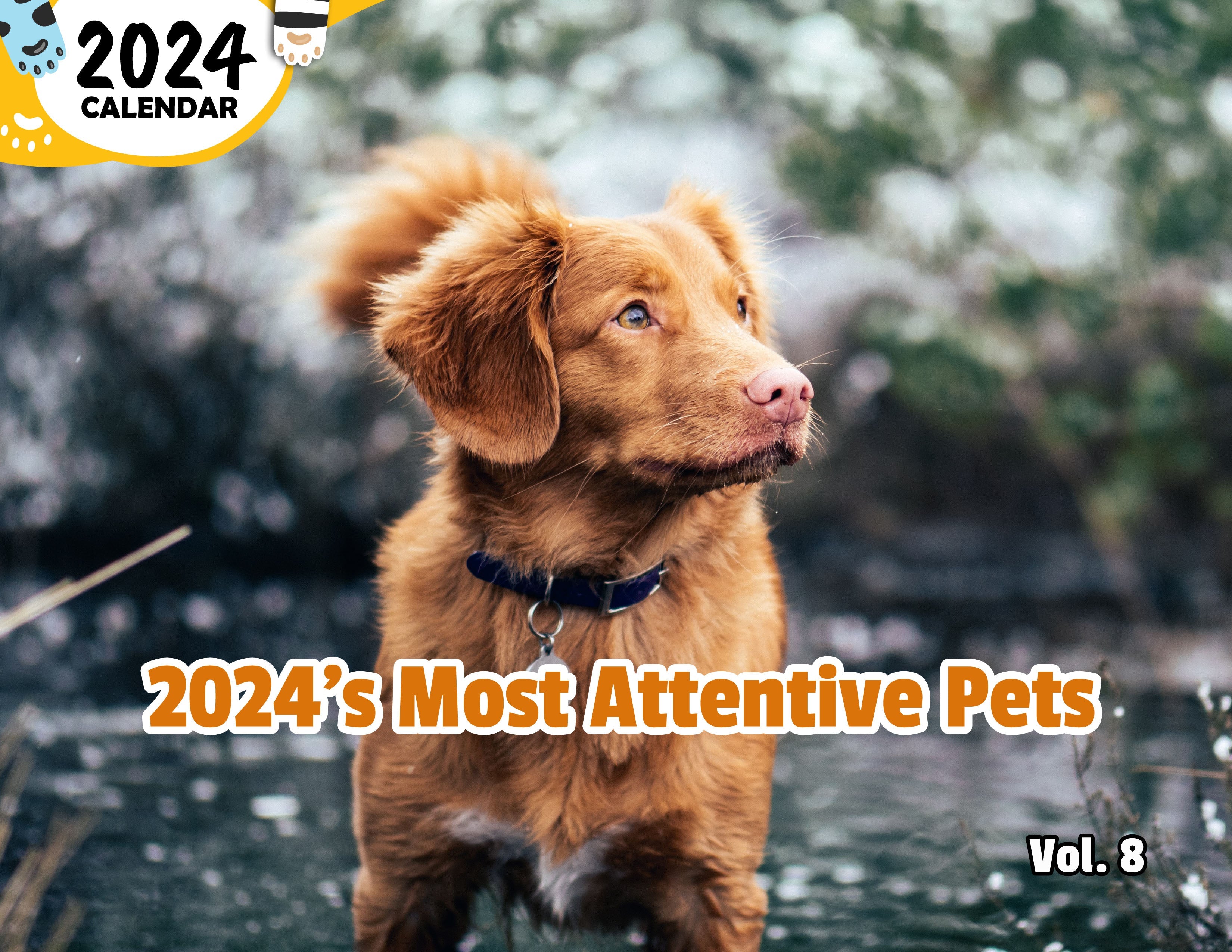2024's Most Attentive Pets Volume Eight: 2024 Wall Calendar (Published)