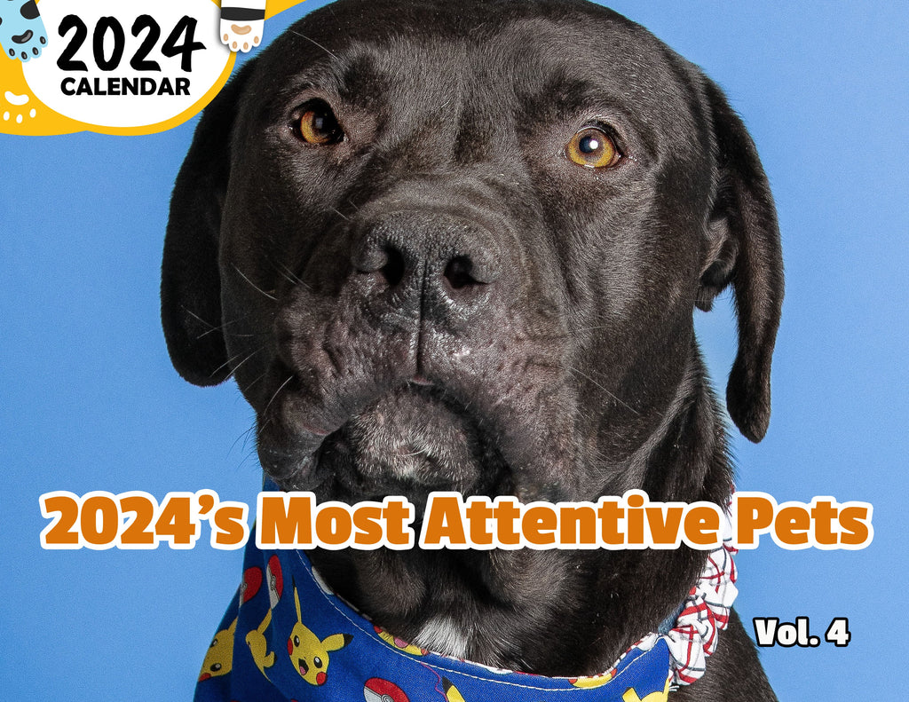 2024's Most Attentive Pets Volume Four: 2024 Wall Calendar (Published)
