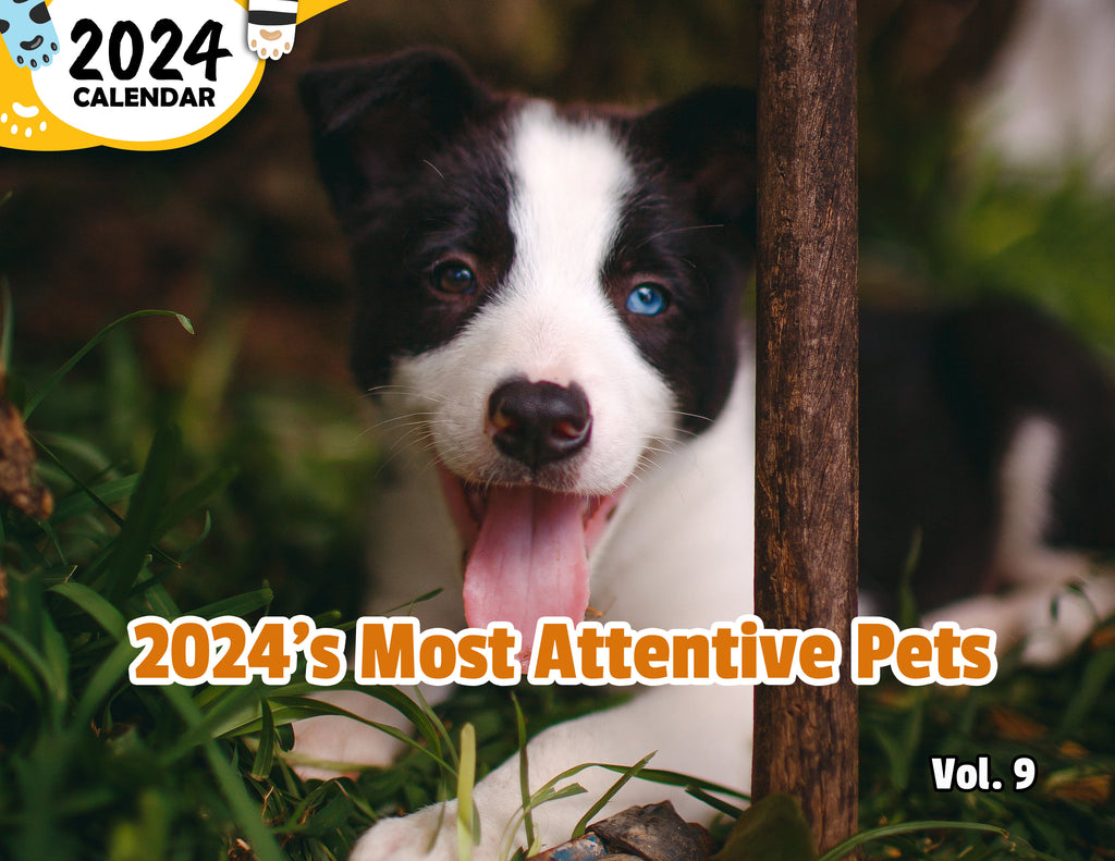 2024's Most Attentive Pets Volume Nine: 2024 Wall Calendar (Published)