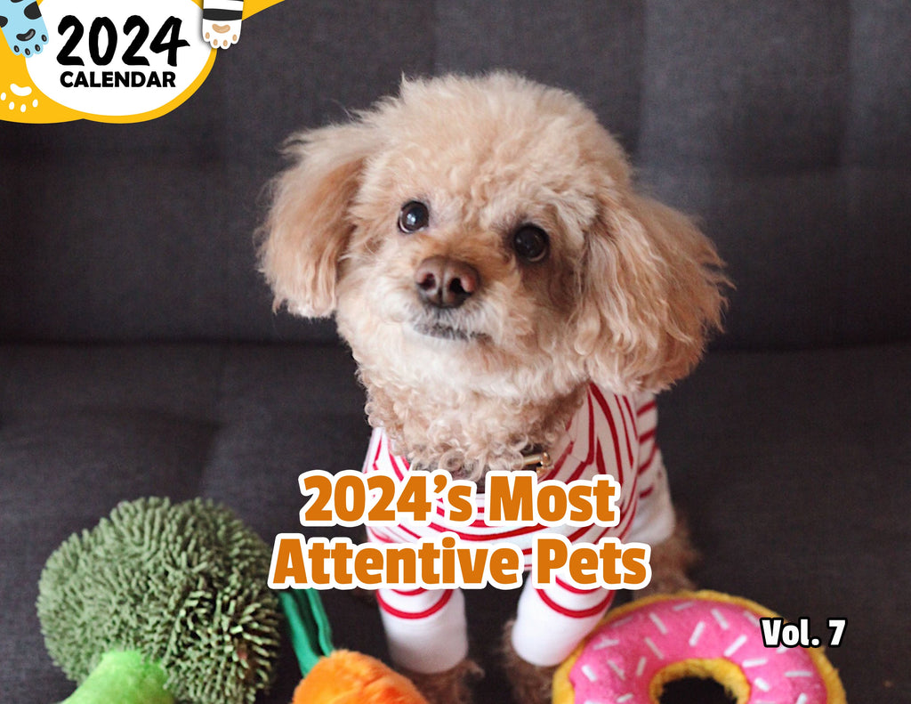 2024's Most Attentive Pets Volume Seven: 2024 Wall Calendar (Published)