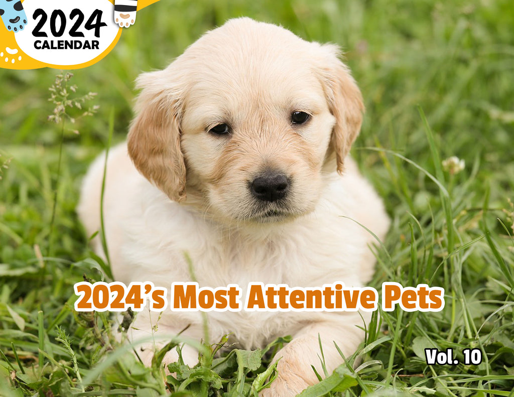 2024's Most Attentive Pets Volume Ten: 2024 Wall Calendar (Published)