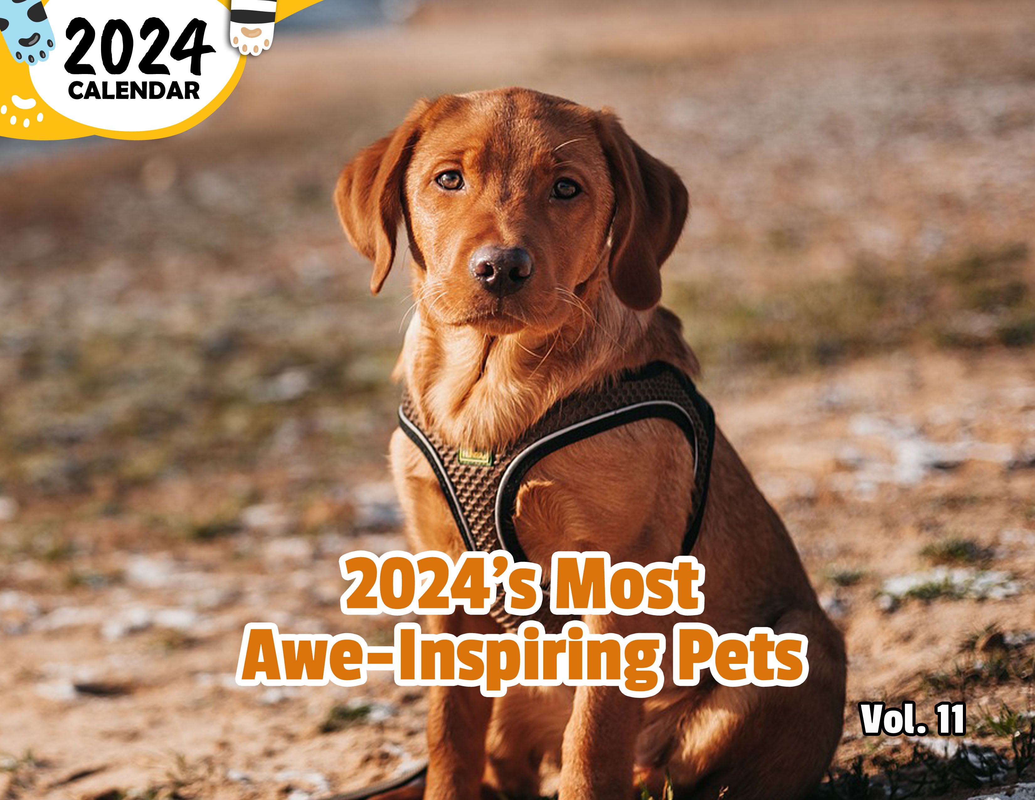 2024's Most Awe-Inspiring Pets Volume Eleven: 2024 Wall Calendar (Published)