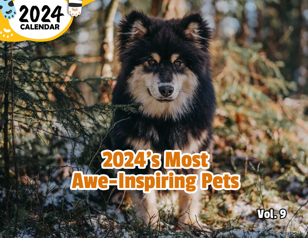 2024's Most Awe-Inspiring Pets Volume Nine: 2024 Wall Calendar (Published)