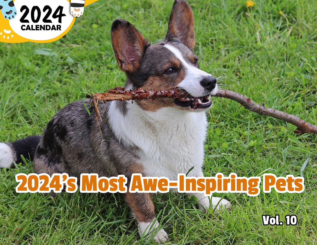2024's Most Awe-Inspiring Pets Volume Ten: 2024 Wall Calendar (Published)