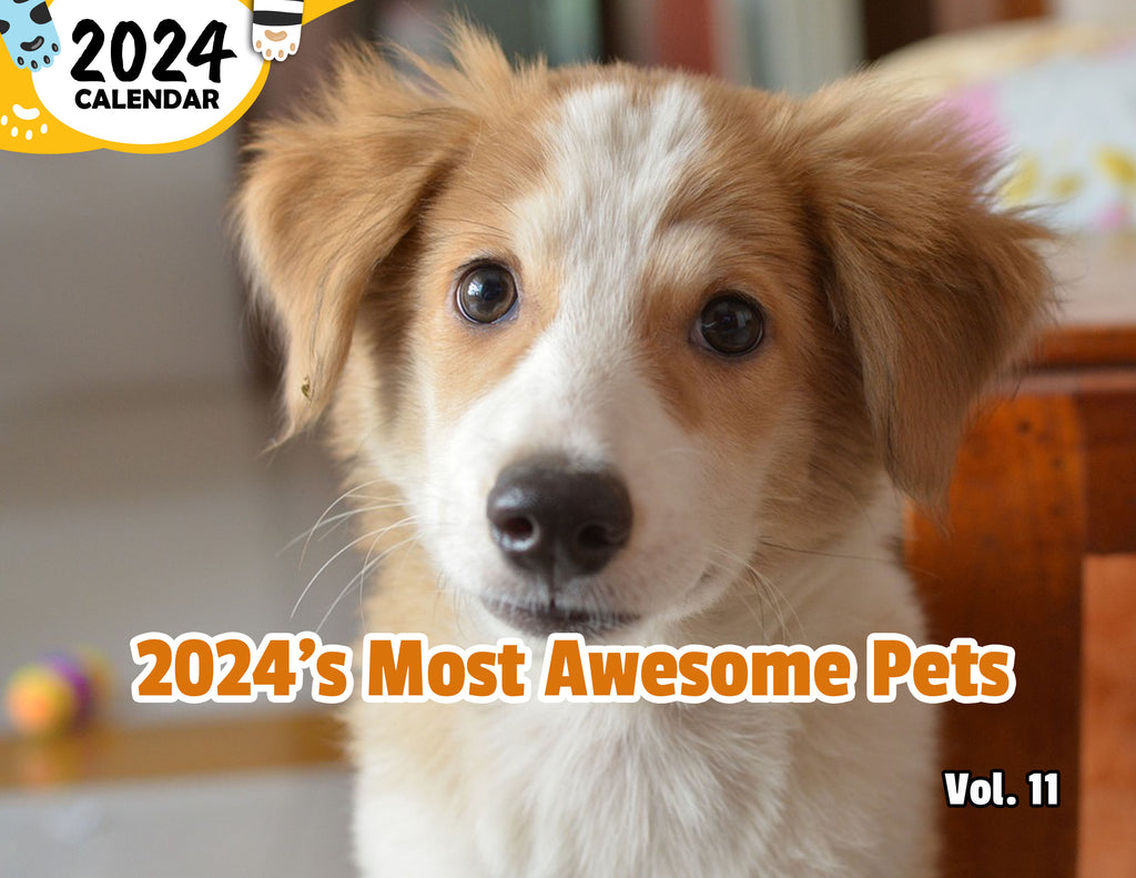 2024's Most Awesome Pets Volume Eleven: 2024 Wall Calendar (Published)