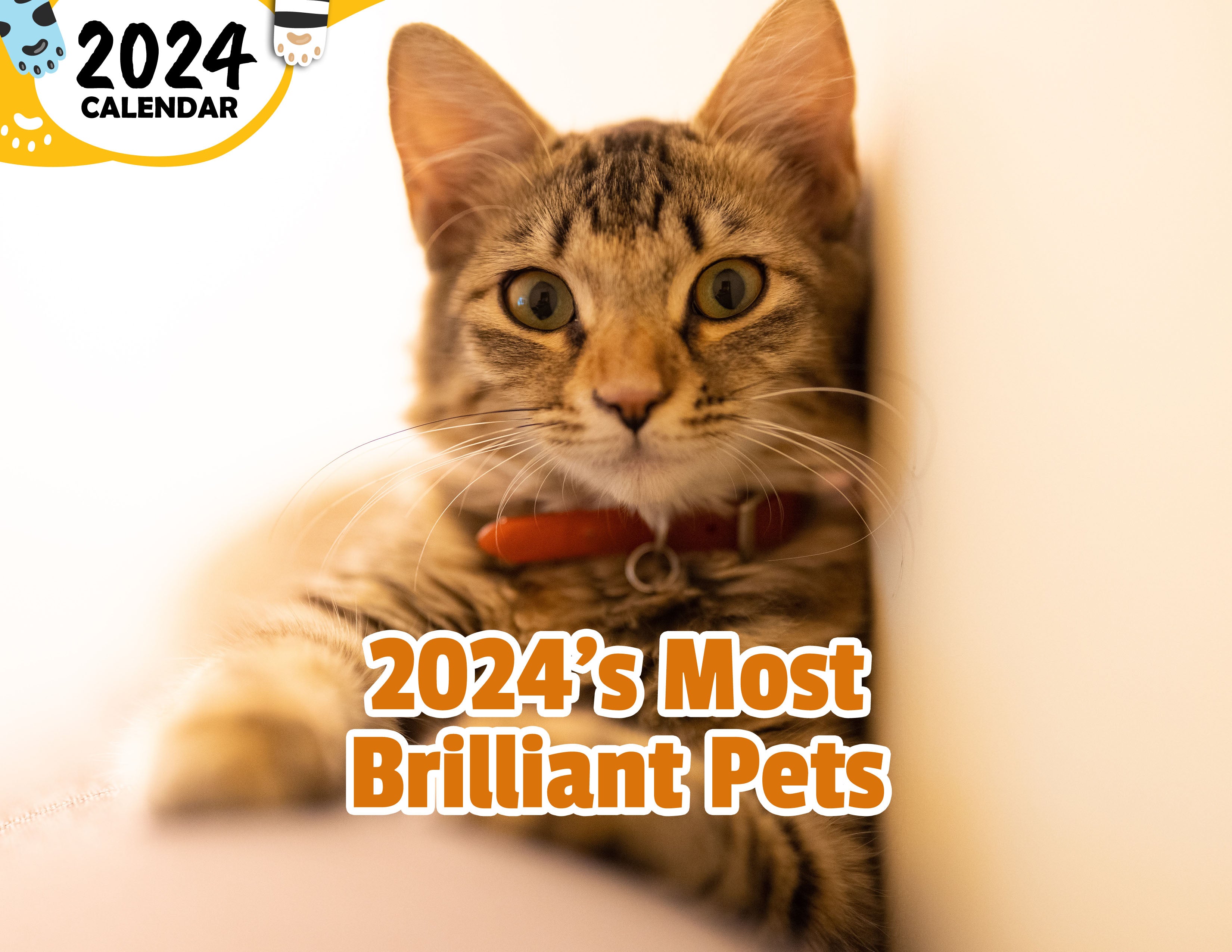 2024's Most Brilliant Pets: 2024 Wall Calendar (Published)