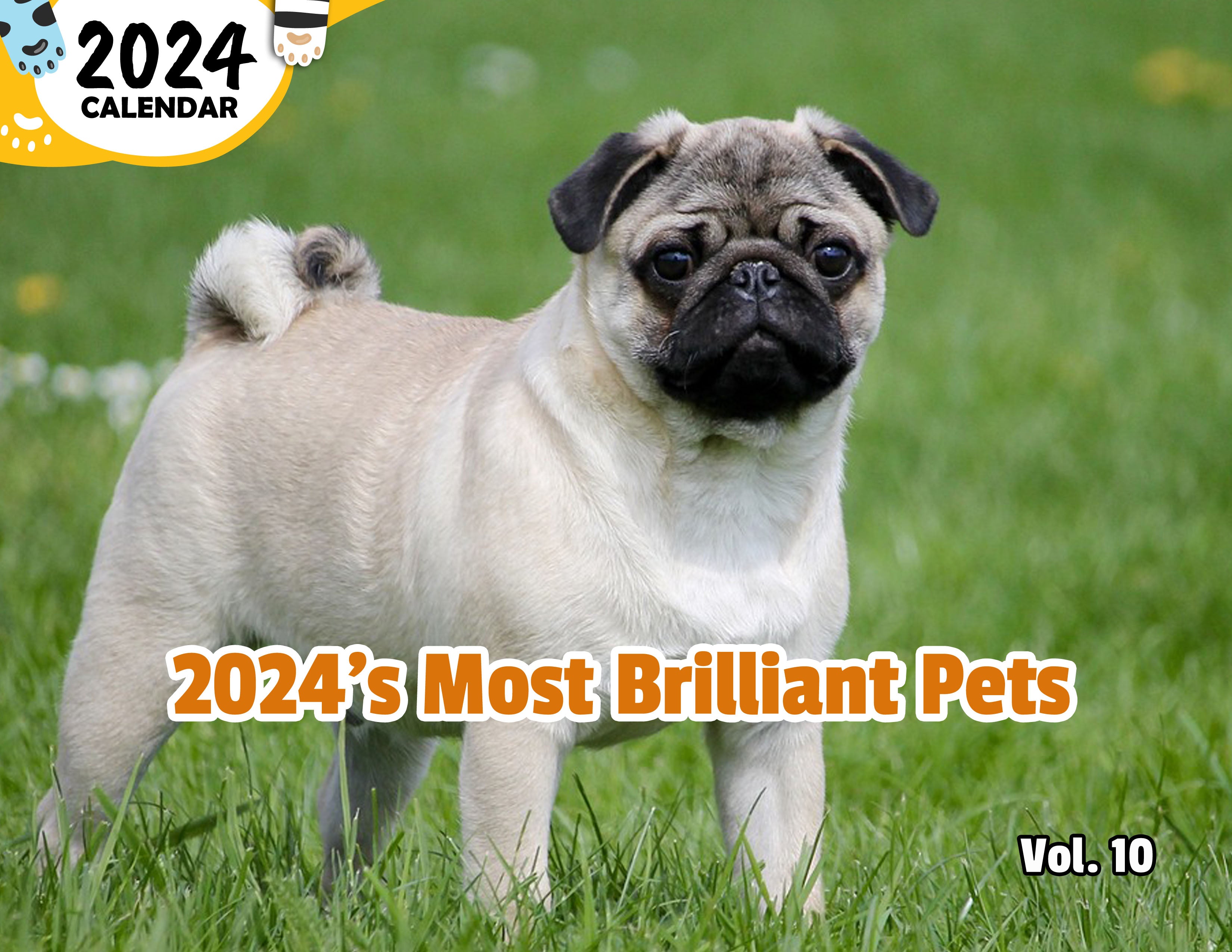 2024's Most Brilliant Pets Volume Ten: 2024 Wall Calendar (Published)