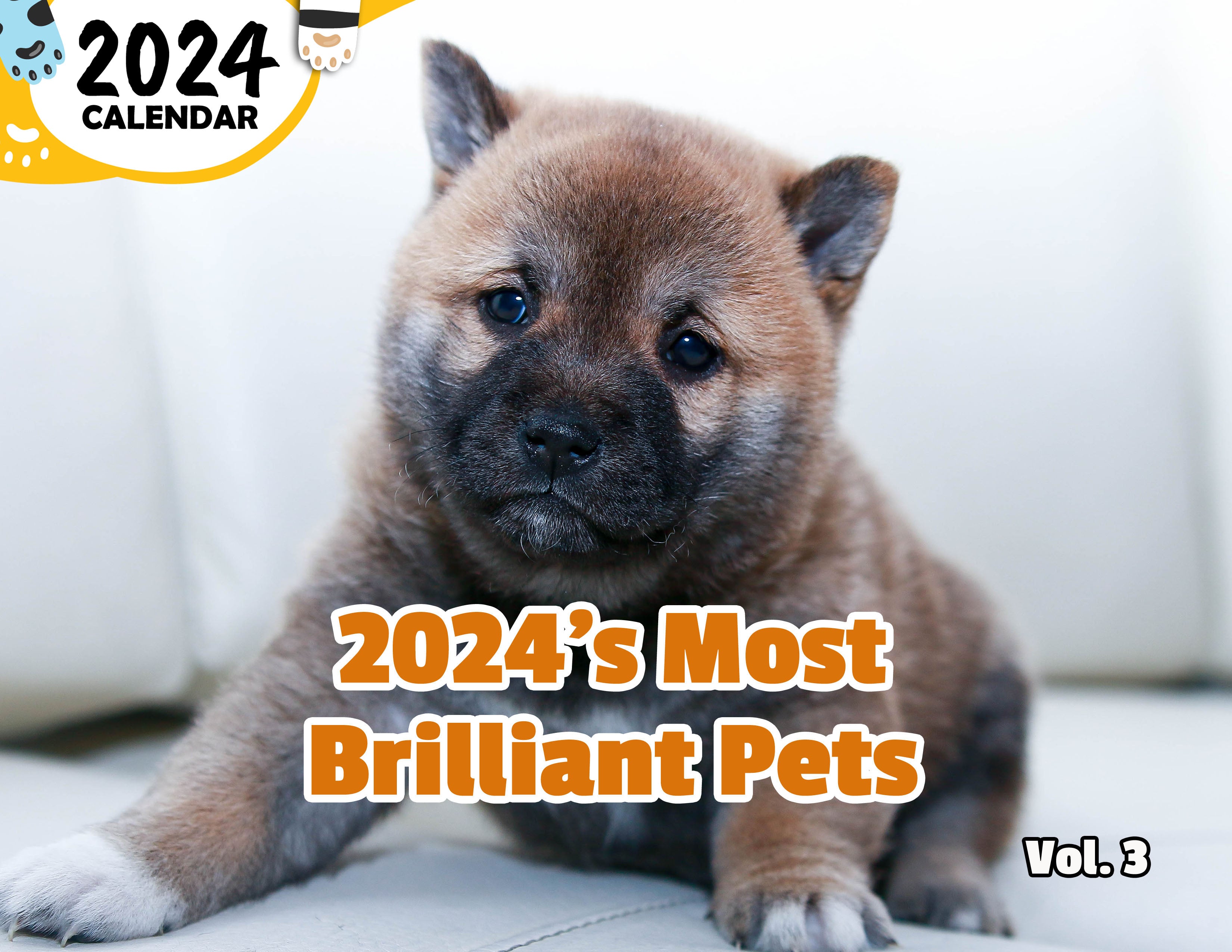 2024's Most Brilliant Pets Volume Three: 2024 Wall Calendar (Published)
