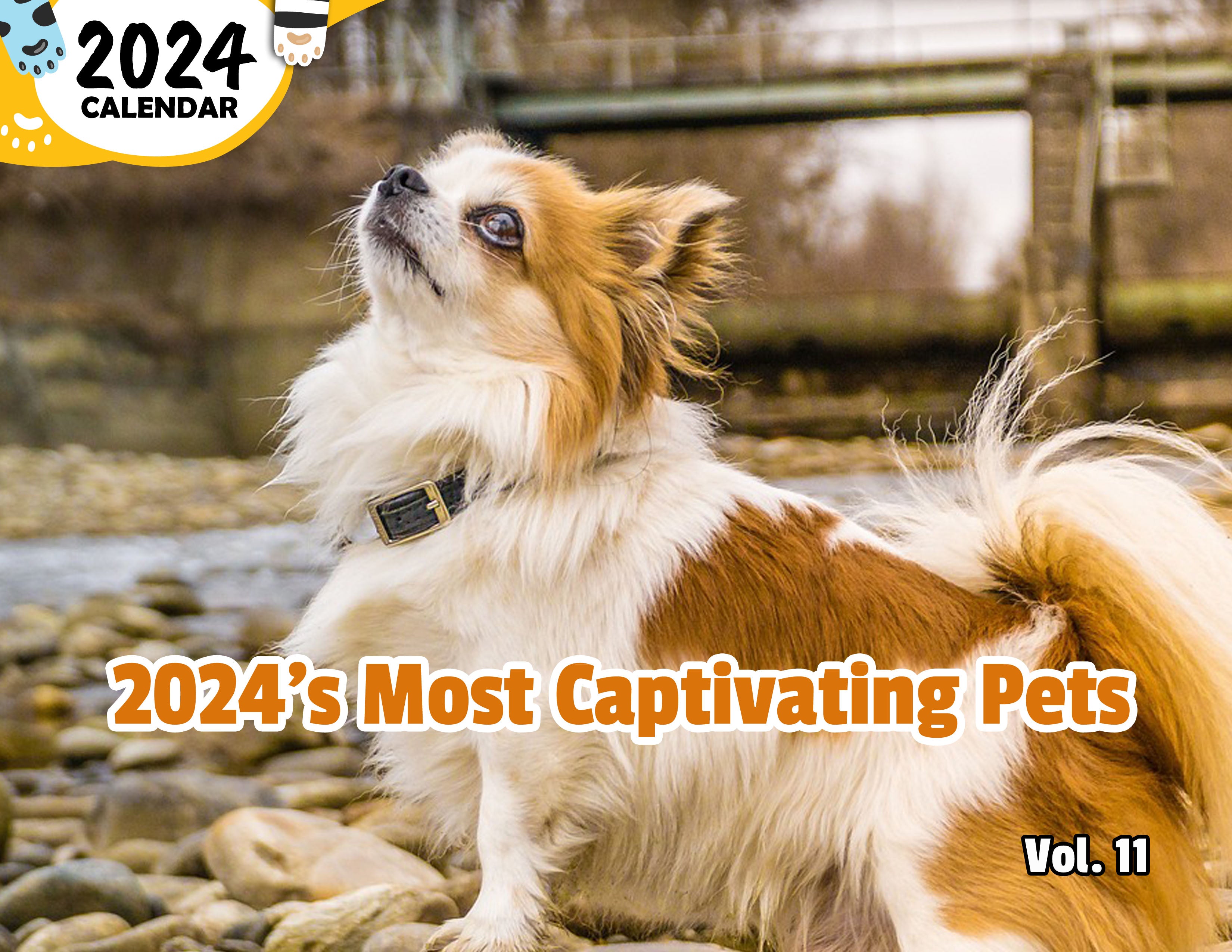 2024's Most Captivating Pets Volume Eleven: 2024 Wall Calendar (Published)