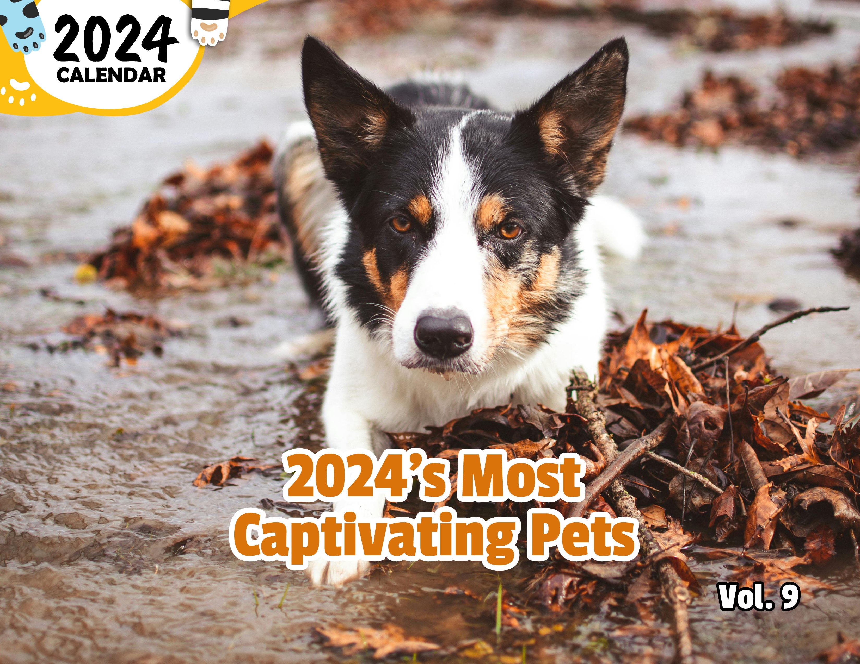2024's Most Captivating Pets Volume Nine: 2024 Wall Calendar (Published)