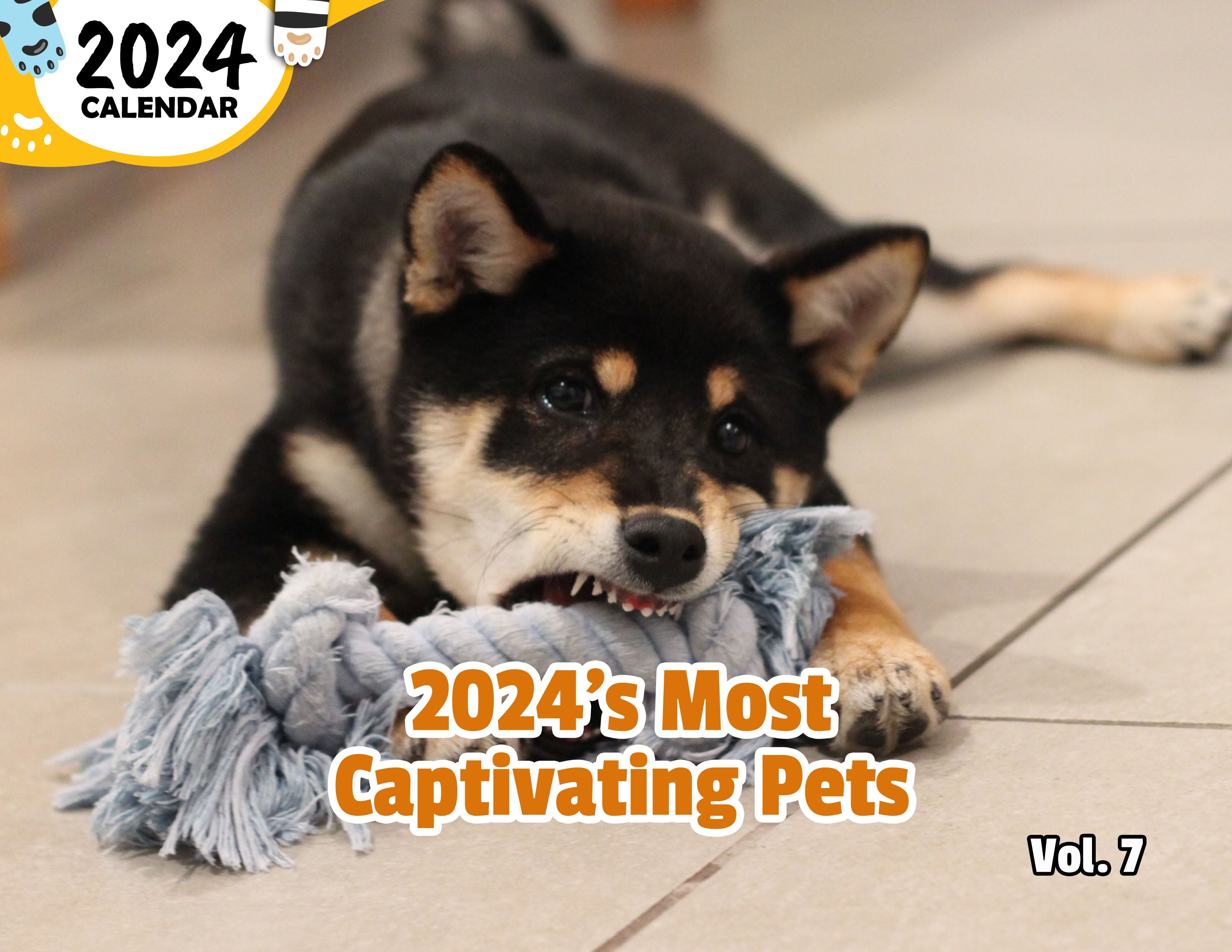 2024's Most Captivating Pets Volume Seven: 2024 Wall Calendar (Published)