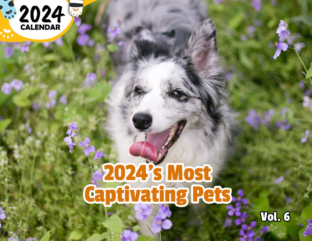 2024's Most Captivating Pets Volume Six: 2024 Wall Calendar (Published)