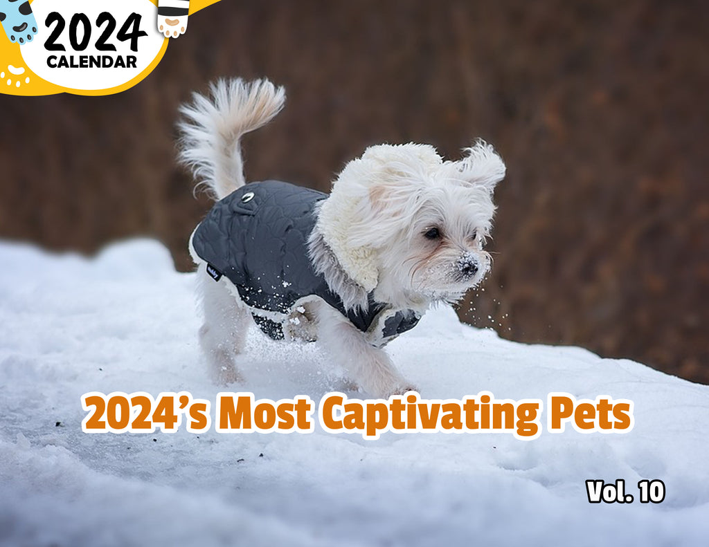 2024's Most Captivating Pets Volume Ten: 2024 Wall Calendar (Published)