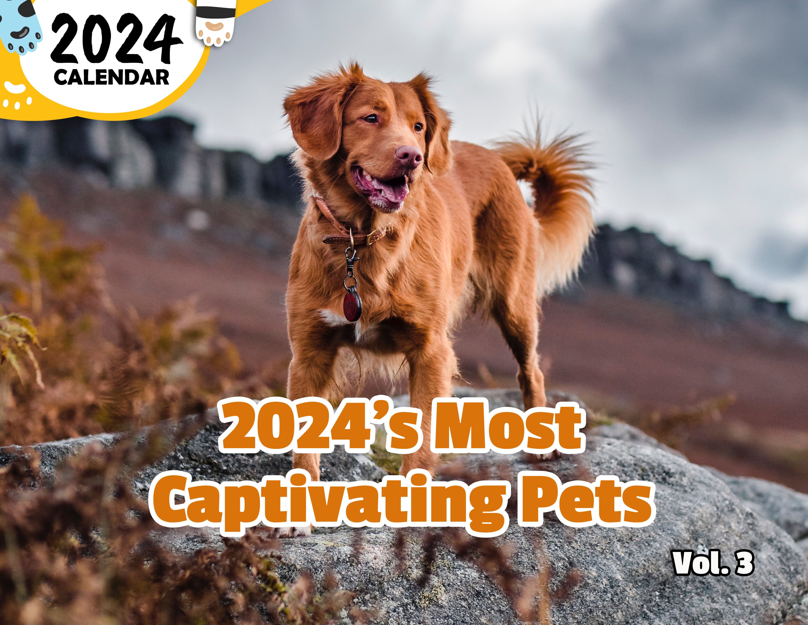 2024's Most Captivating Pets Volume Three: 2024 Wall Calendar (Published)