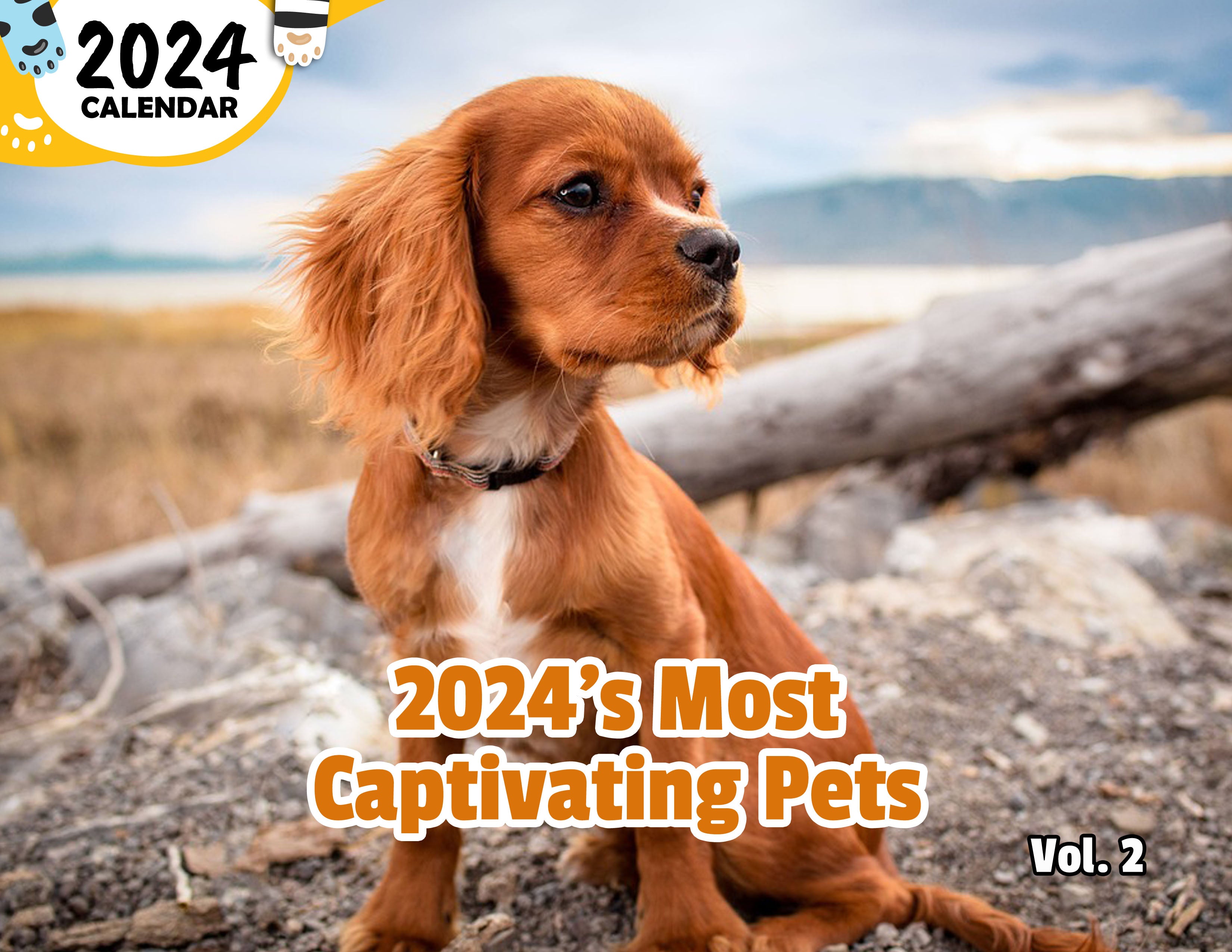2024's Most Captivating Pets Volume Two: 2024 Wall Calendar (Published)